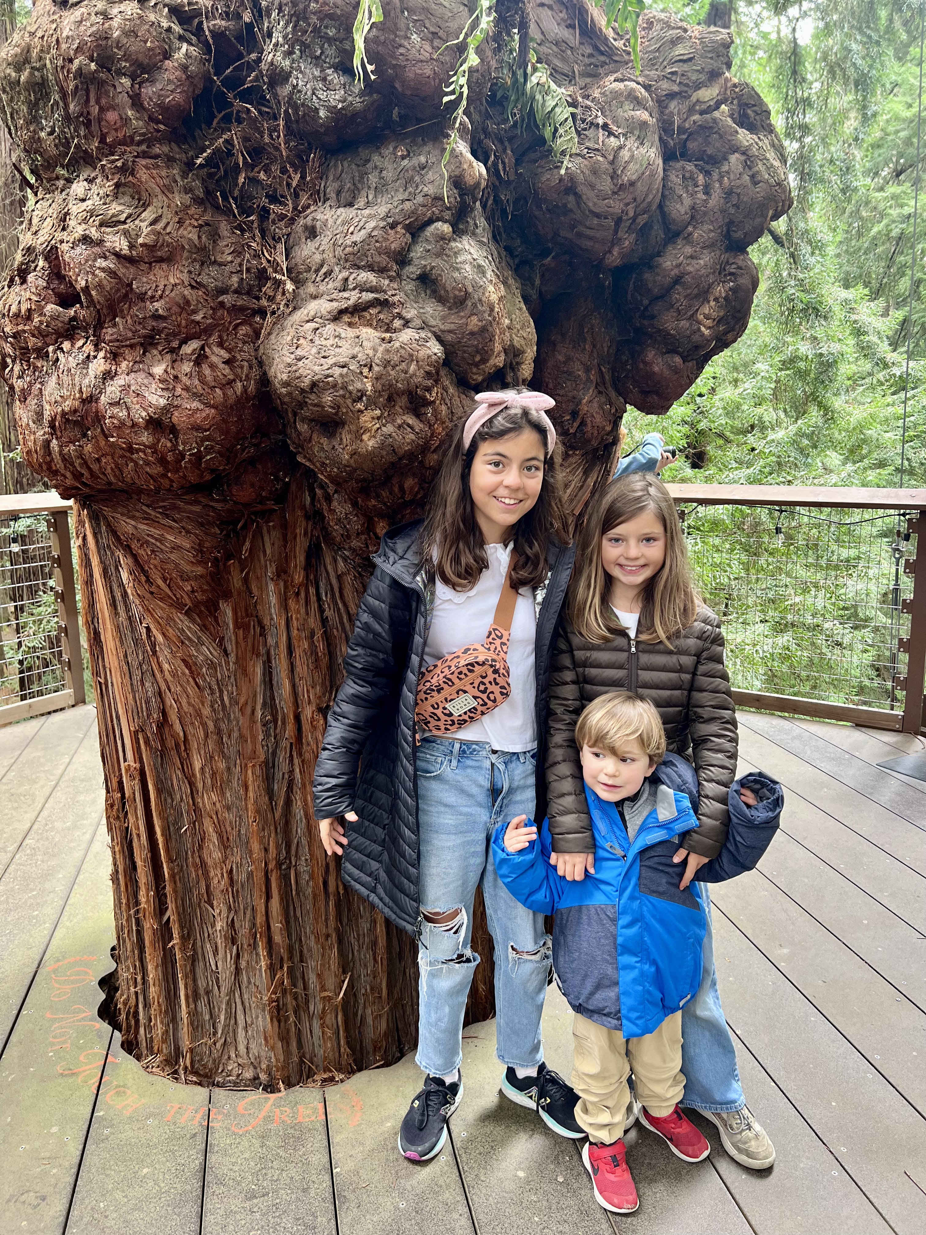 Img: pants, tree, jeans, person, portrait, female, girl, teen, people, shoe