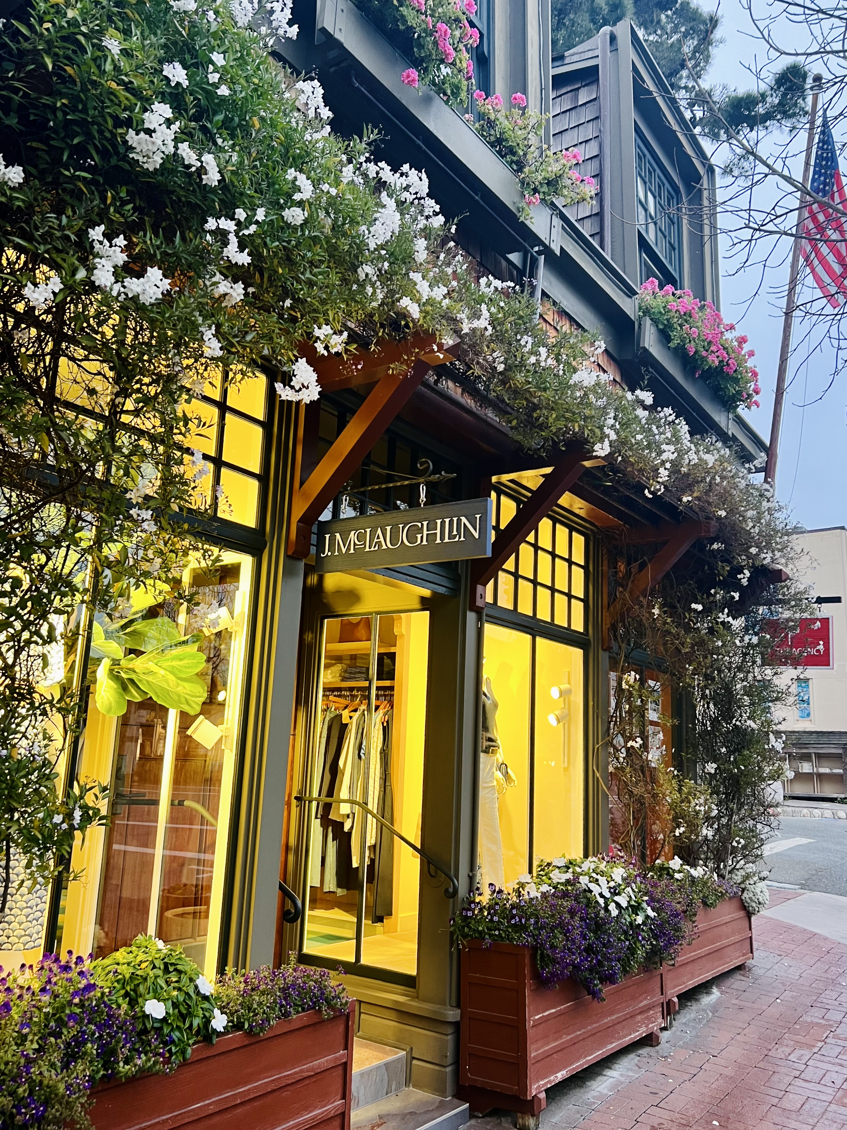 Img: potted plant, planter, pottery, vase, flower, flower arrangement, city, path, person, flag