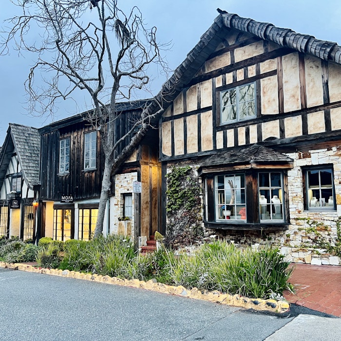 Img: neighborhood, plant, nature, outdoors, suburb, countryside, person, architecture, building, housing