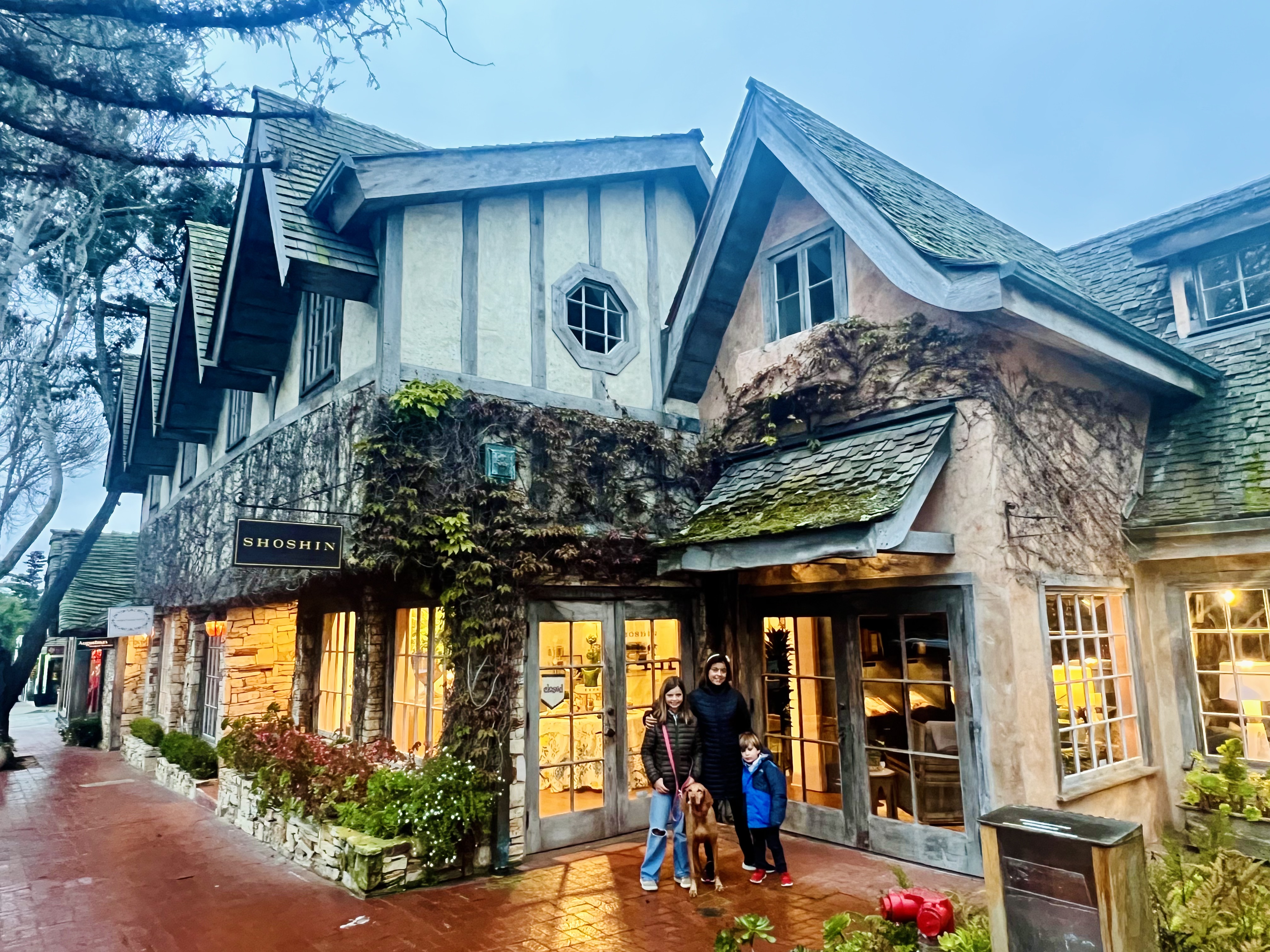 Img: neighborhood, shelter, city, path, shoe, person, urban, dog, housing, handbag