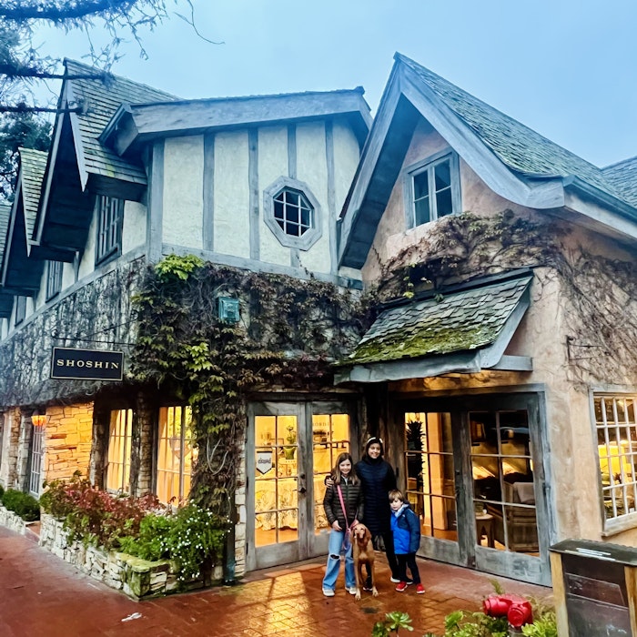 Img: neighborhood, shelter, city, path, shoe, person, urban, dog, housing, handbag