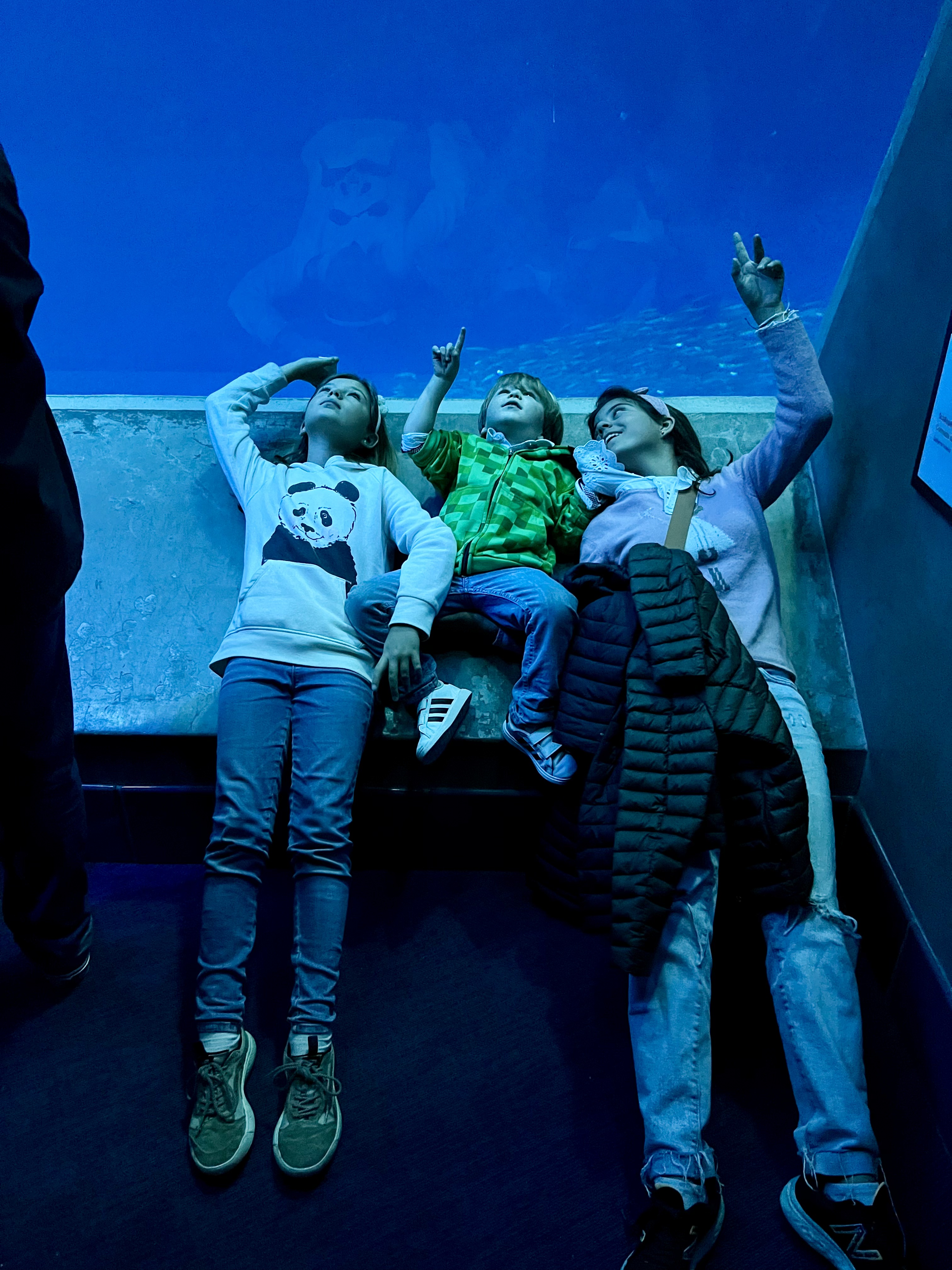 Img: pants, shoe, people, person, boy, male, teen, aquarium, child, aquatic
