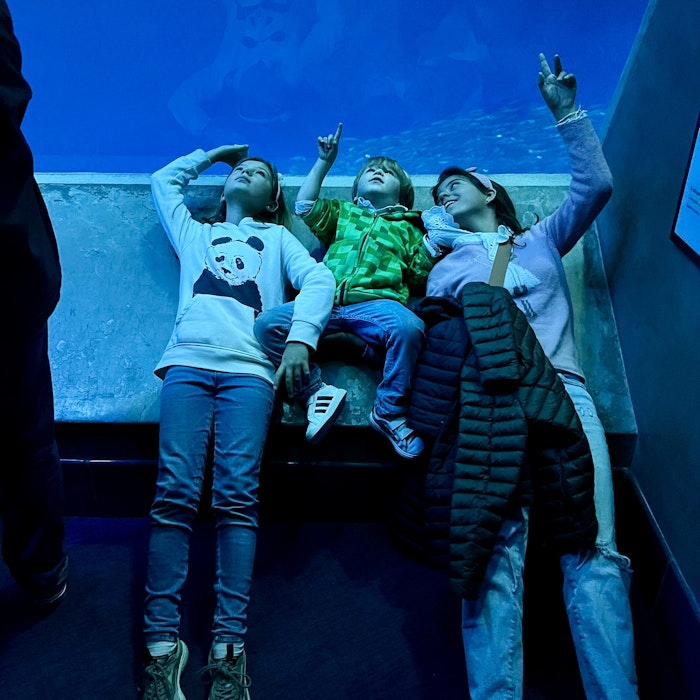 Img: pants, shoe, people, person, boy, male, teen, aquarium, child, aquatic