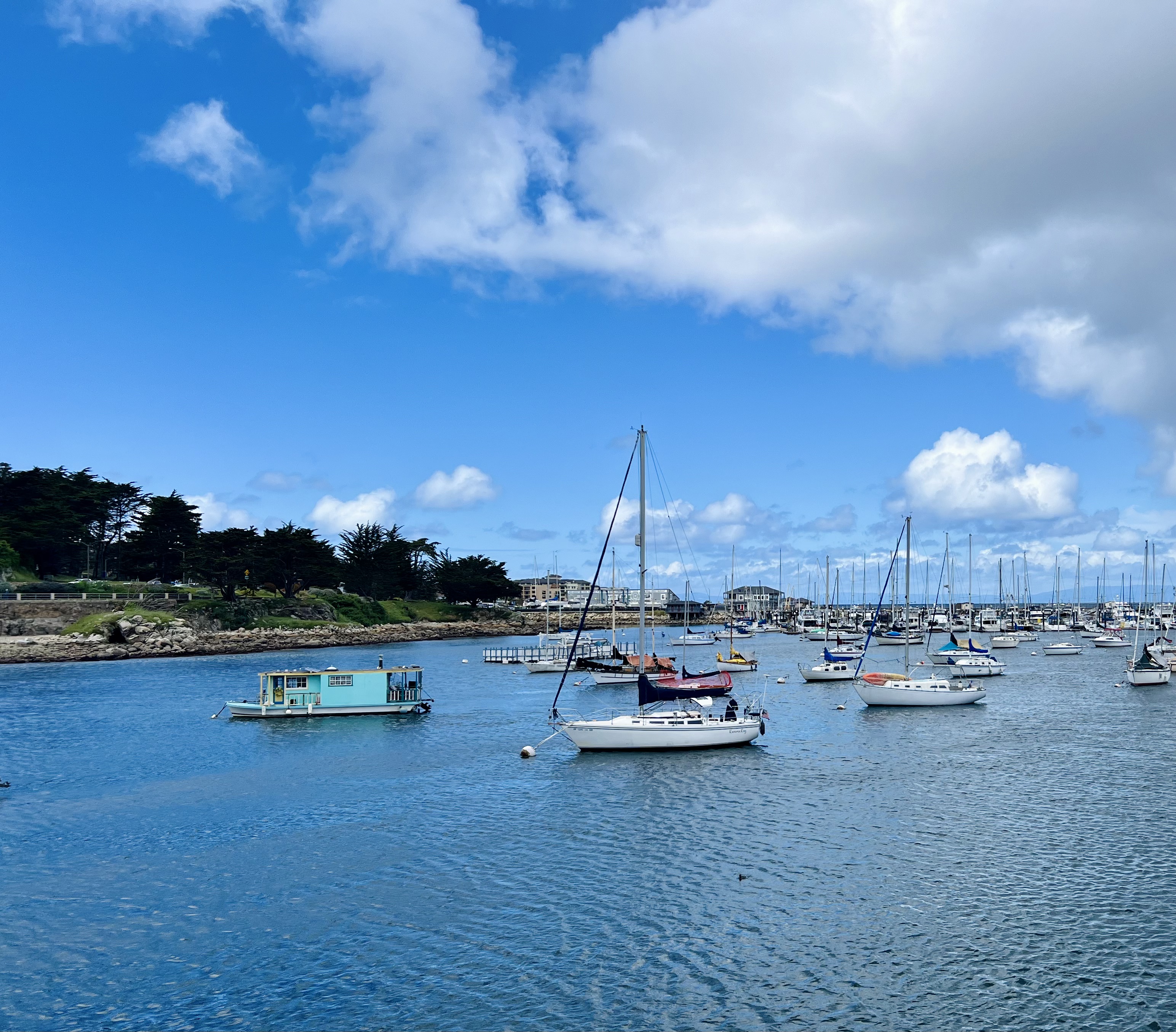 Img: water, waterfront, boat, sailboat, harbor, pier, watercraft, port, marina, person