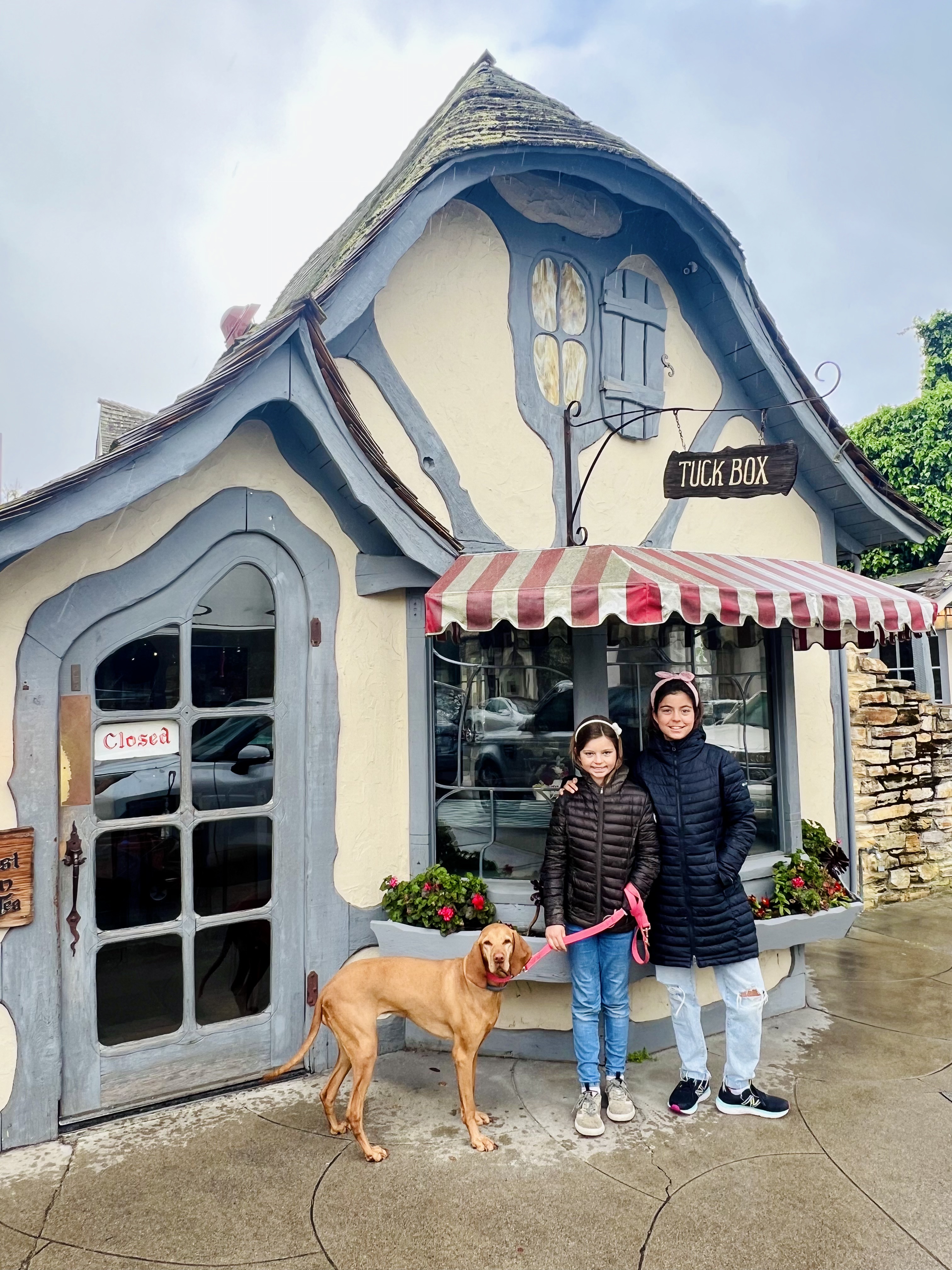 Img: shelter, pants, person, portrait, urban, shoe, potted plant, city, neighborhood, dog