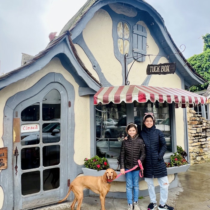 Img: shelter, pants, person, portrait, urban, shoe, potted plant, city, neighborhood, dog