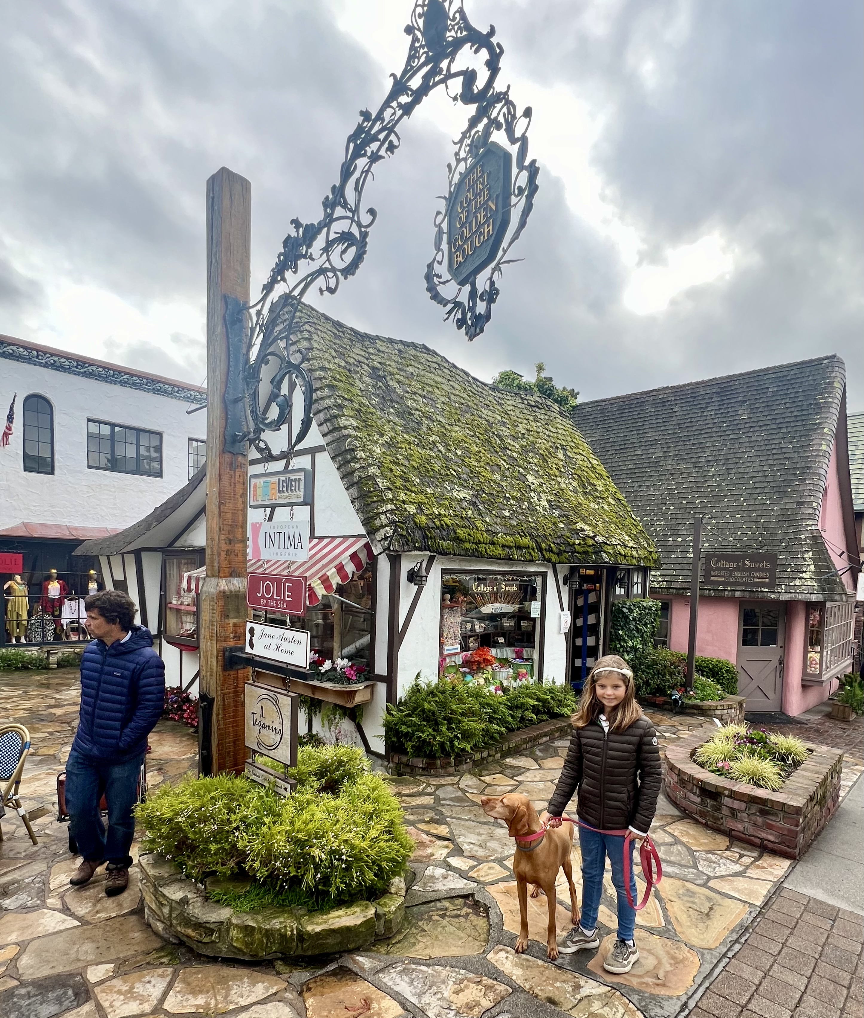 Img: urban, path, walkway, shelter, city, shoe, neighborhood, flagstone, person, potted plant
