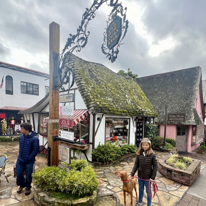 Img: urban, path, walkway, shelter, city, shoe, neighborhood, flagstone, person, potted plant