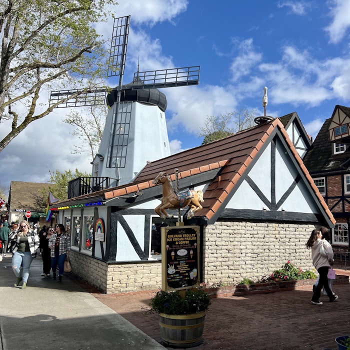 Img: footwear, shoe, handbag, person, outdoors, plant, horse, shelter, road, road sign