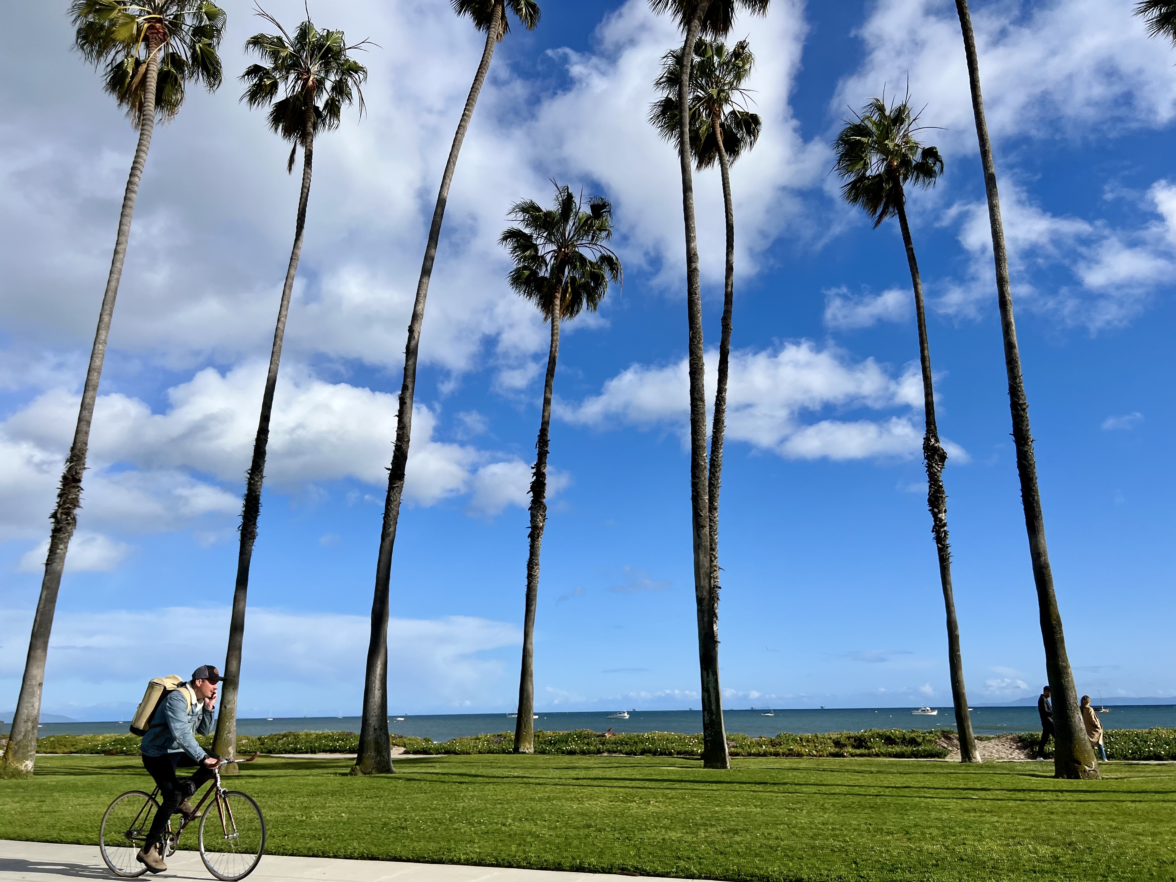 Img: summer, shoe, palm tree, tree, person, bicycle, hat, boat, cycling, outdoors