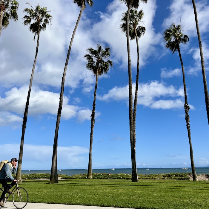 Img: summer, shoe, palm tree, tree, person, bicycle, hat, boat, cycling, outdoors