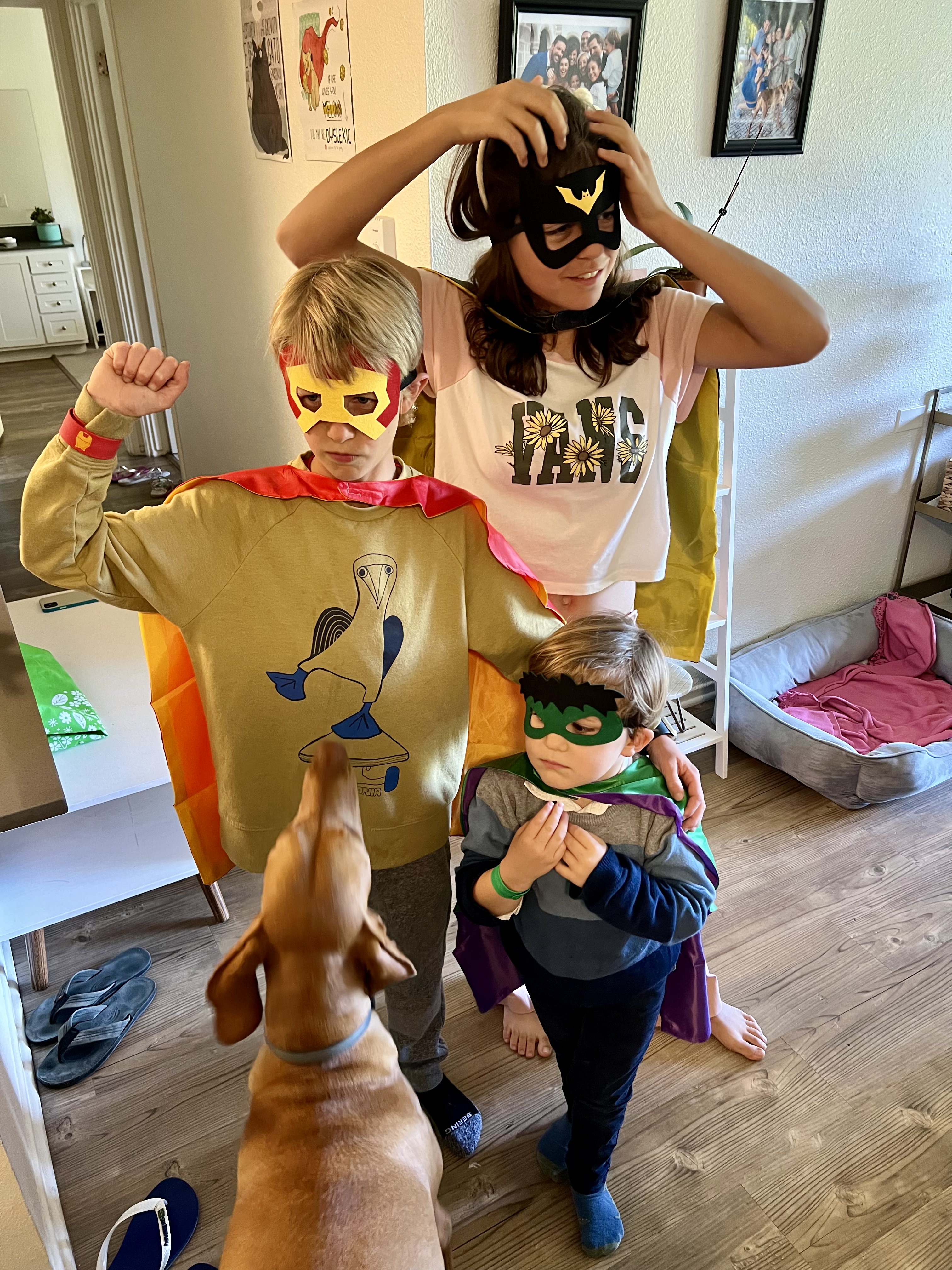 Img: clothing, costume, person, dog, mammal, pet, face, head, photo frame, floor