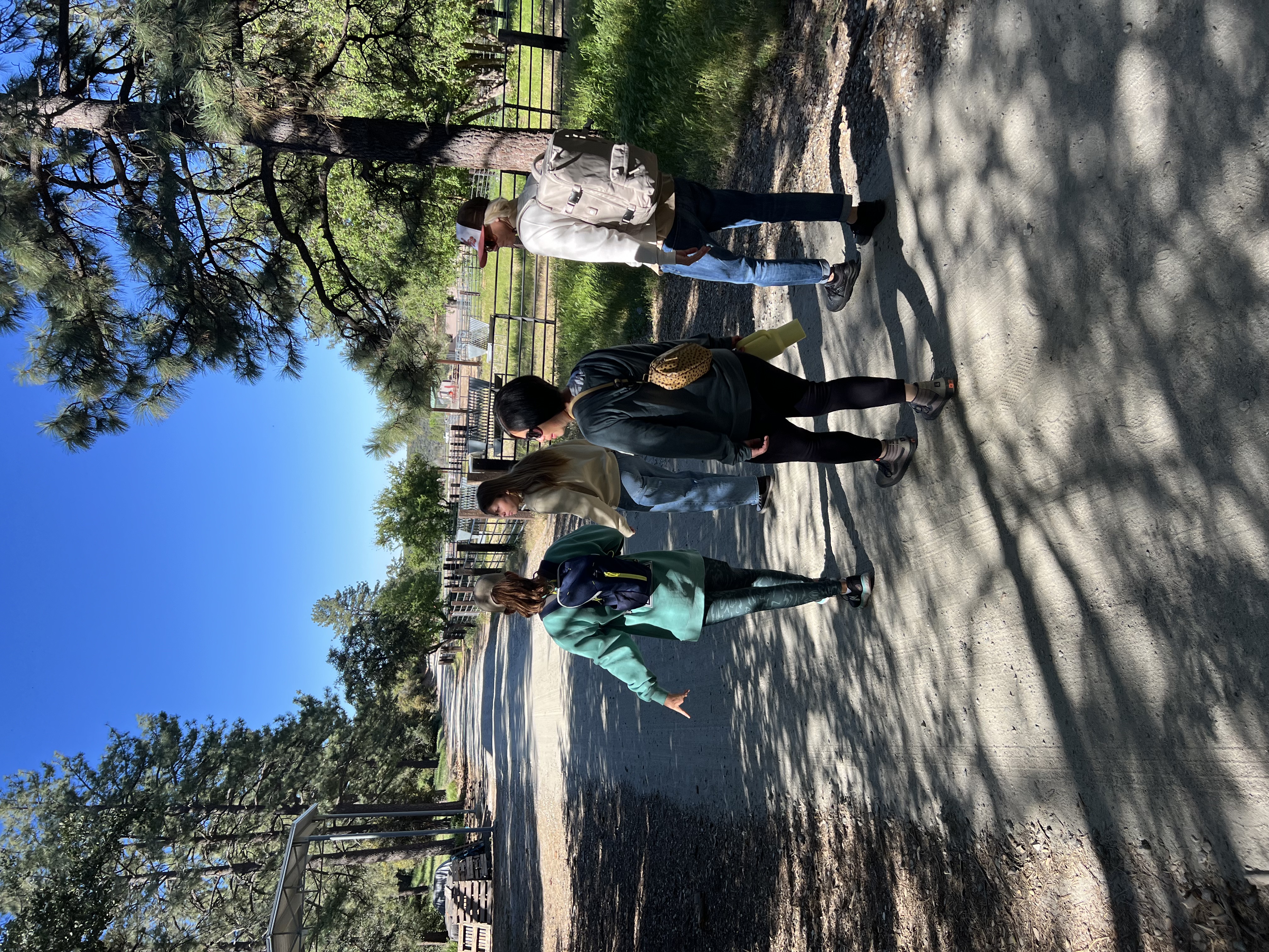 Img: person, walking, tree, shoe, pants, vegetation, backpack, female, girl, teen