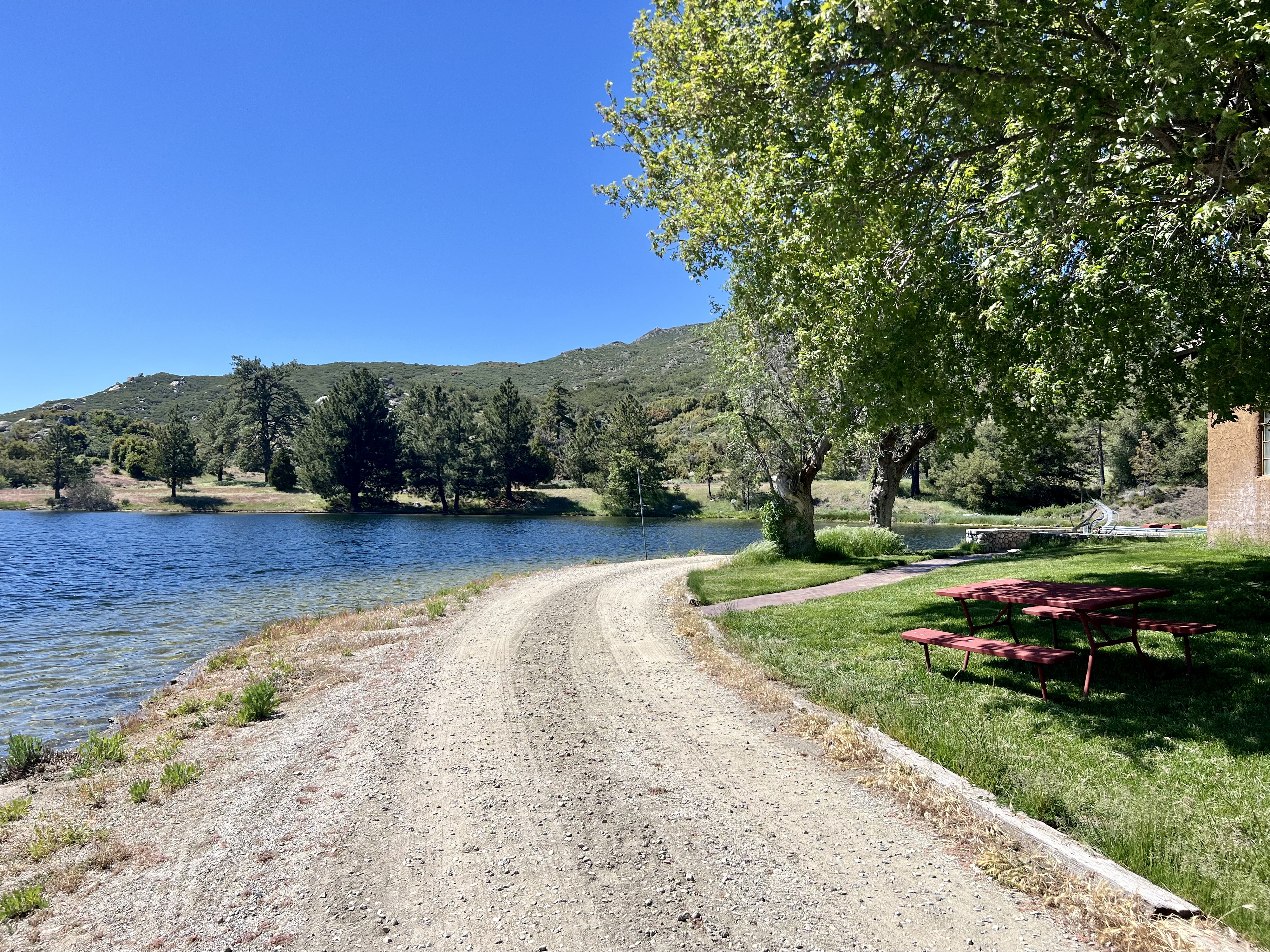 Img: nature, outdoors, scenery, gravel, road, bench, summer, desk, tree, lakefront