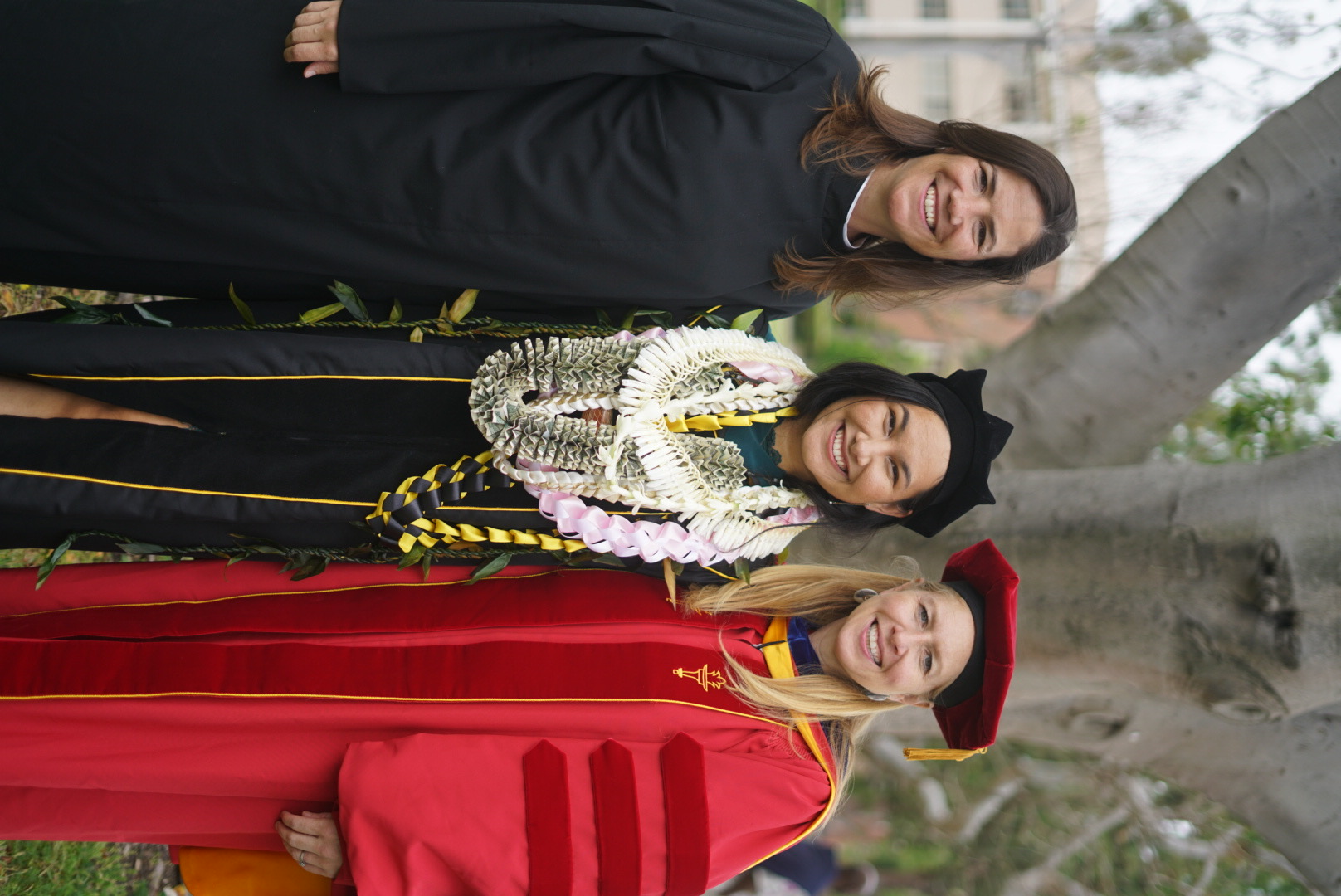 Img: people, person, graduation, adult, female, woman, flower, flower arrangement, plant, face