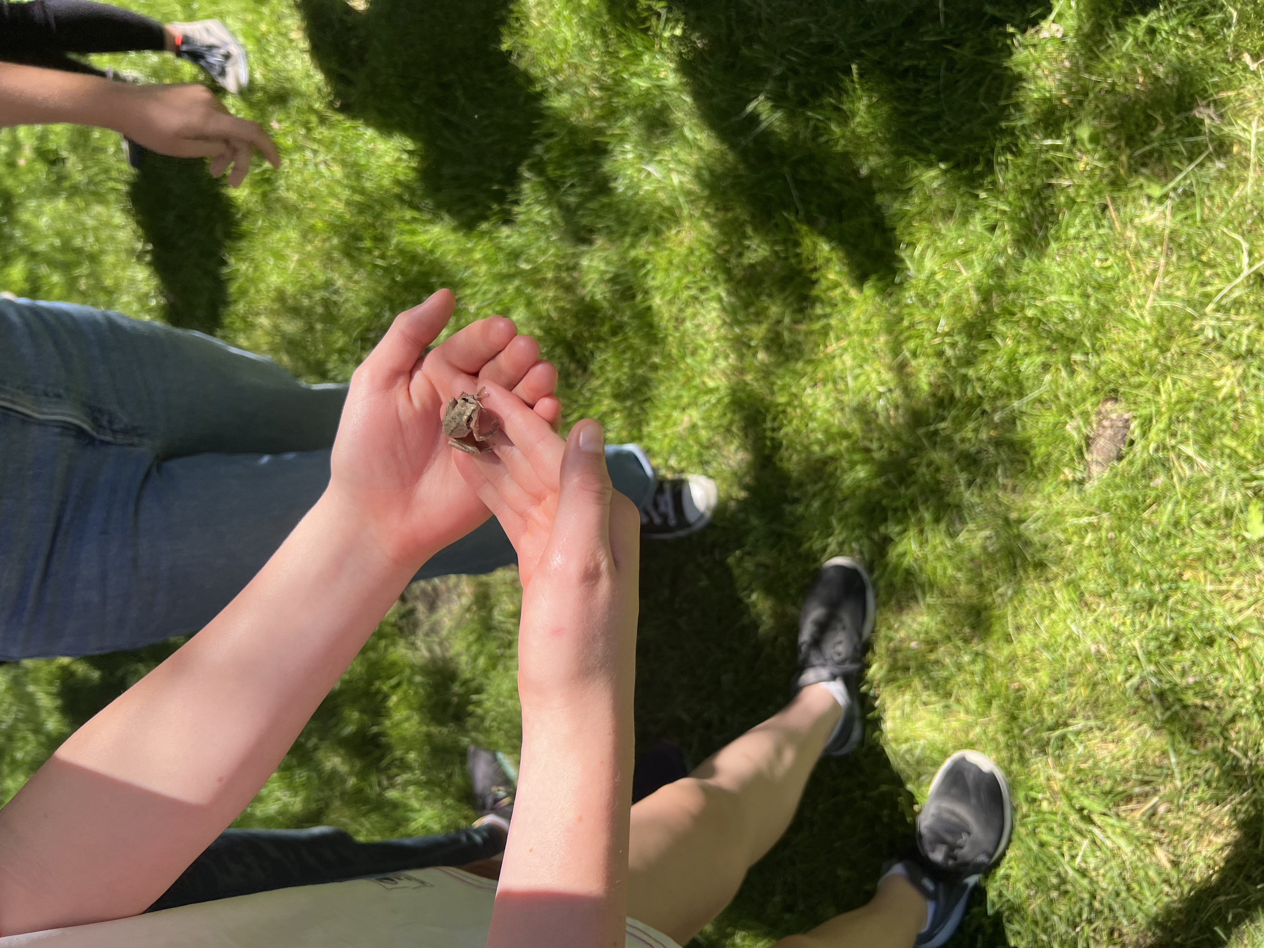 Img: grass, plant, body part, finger, hand, person, clothing, footwear, shoe, lawn