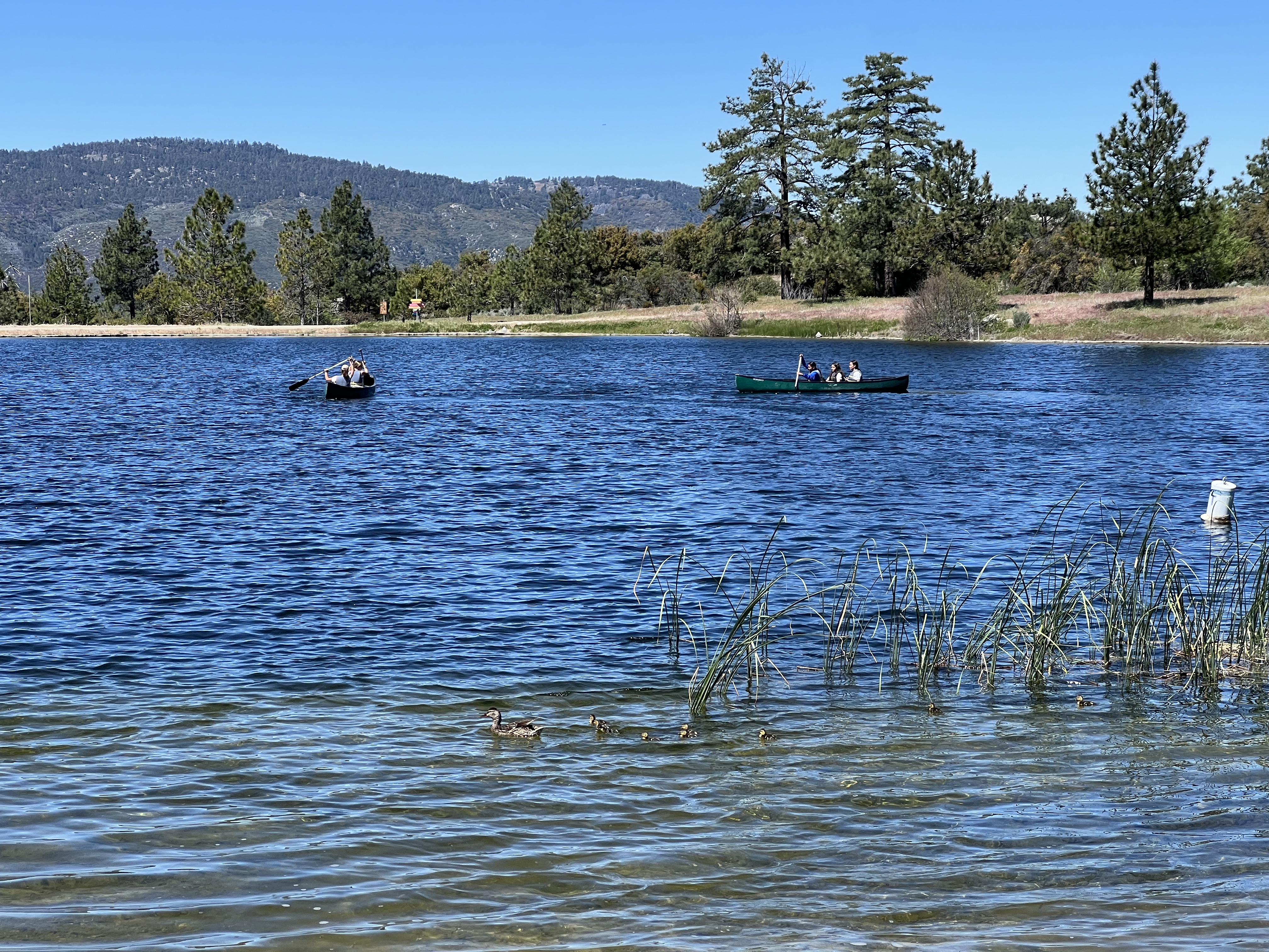 Img: nature, outdoors, scenery, lake, water, boat, tree, land, fir, person