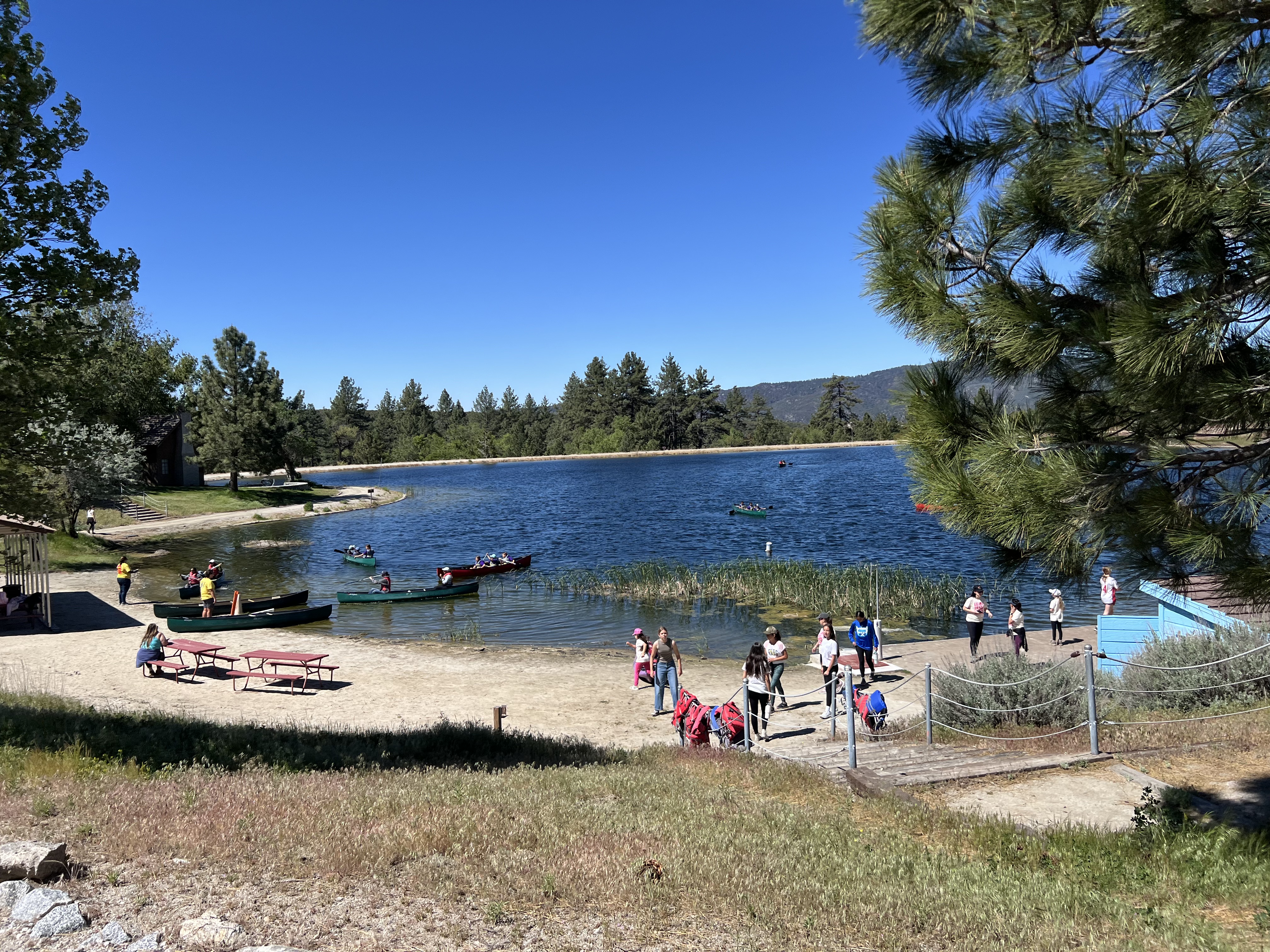 Img: nature, outdoors, scenery, summer, person, tree, fir, boat, lakefront, waterfront