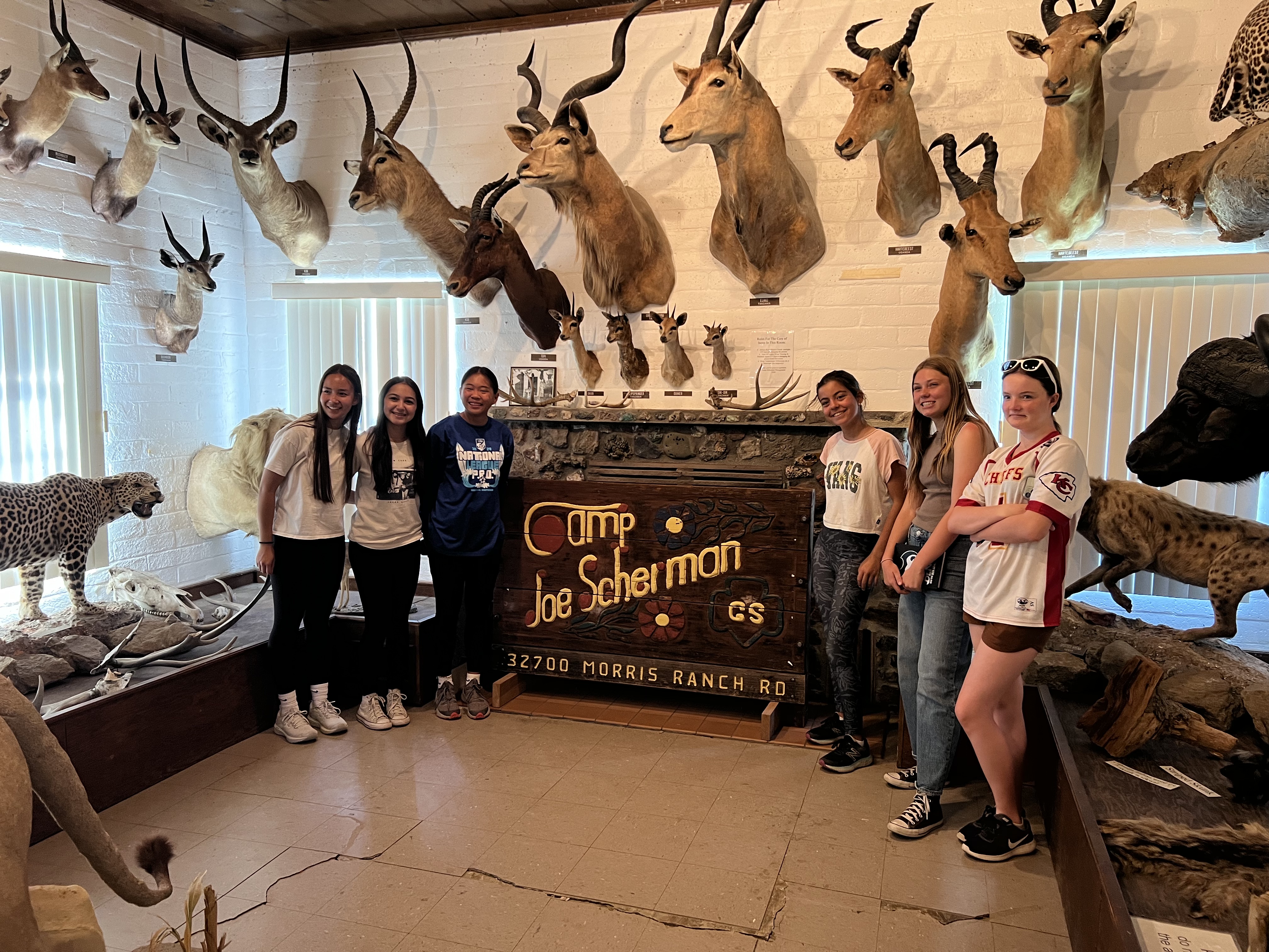 Img: indoors, museum, wood, antelope, person, shoe, floor, portrait, shorts, panther