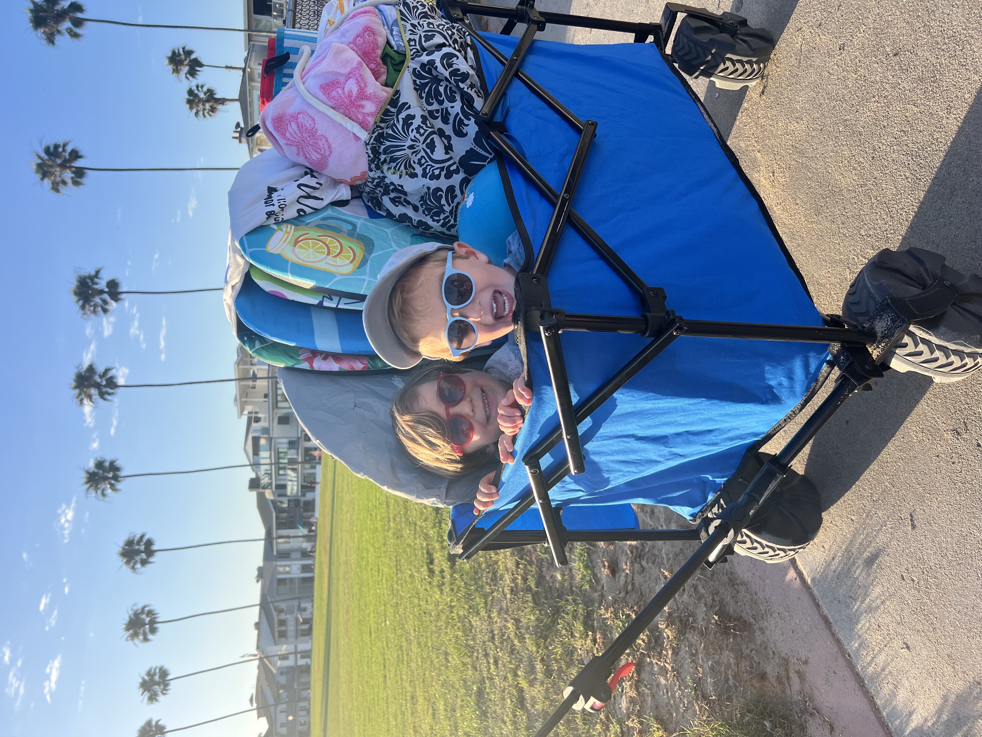 Img: accessories, sunglasses, glasses, carriage, hat, wagon, person, portrait, tree, summer