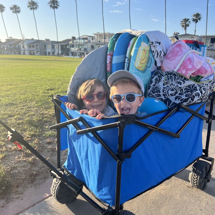 Img: accessories, sunglasses, glasses, carriage, hat, wagon, person, portrait, tree, summer