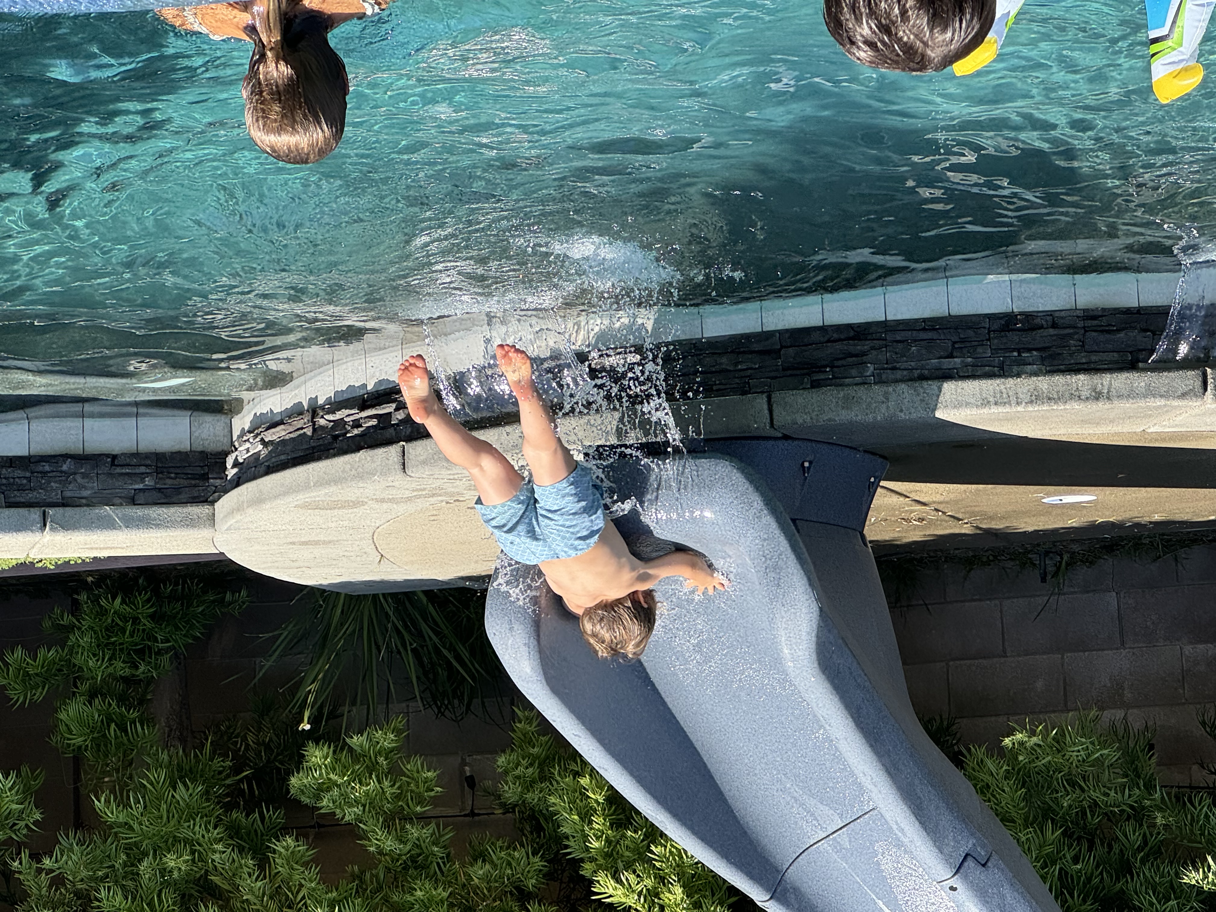 Img: summer, pool, water, swimming pool, boy, child, male, person, shorts, swimming