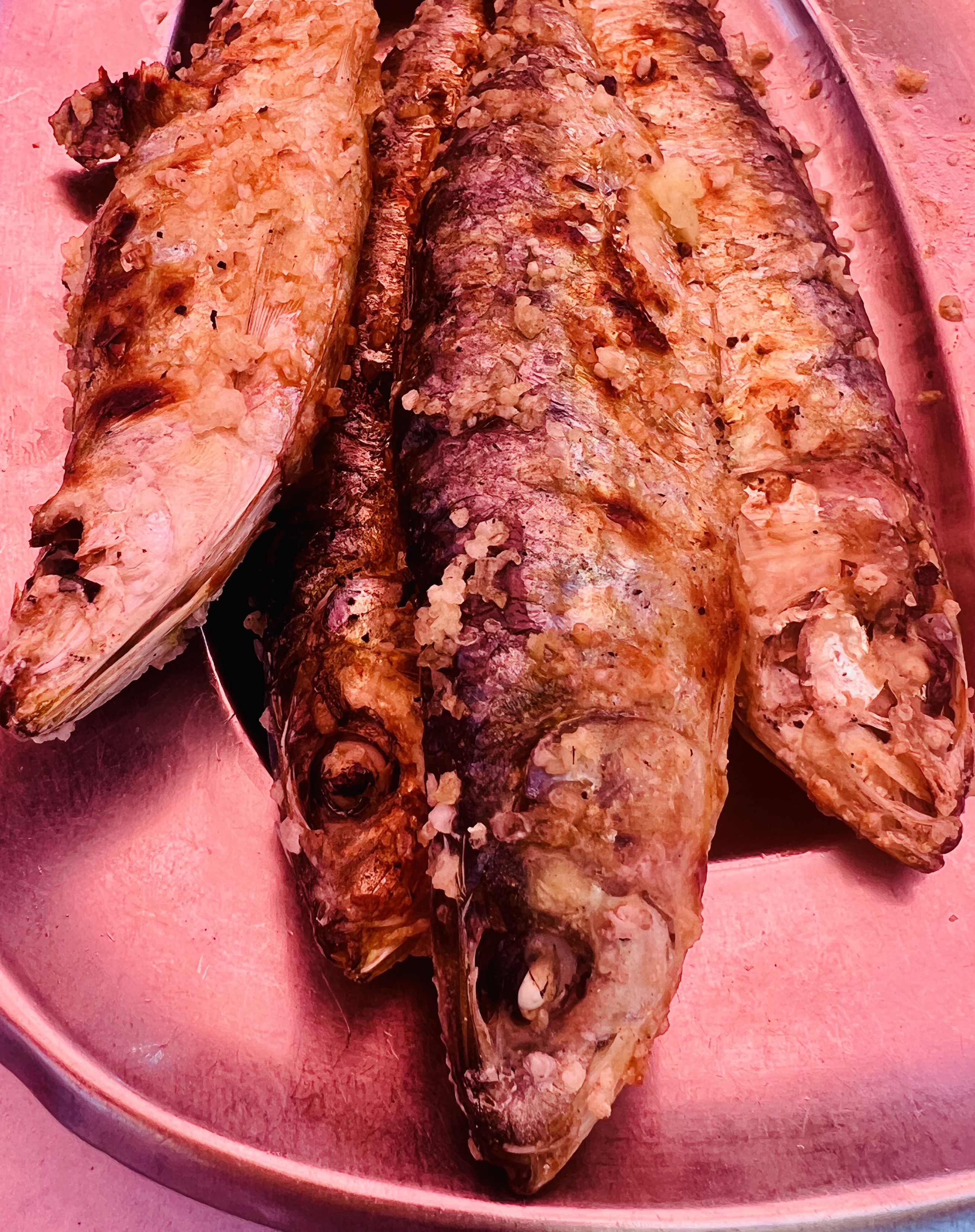 Img: food, meat, pork, animal, fish, herring, sea life