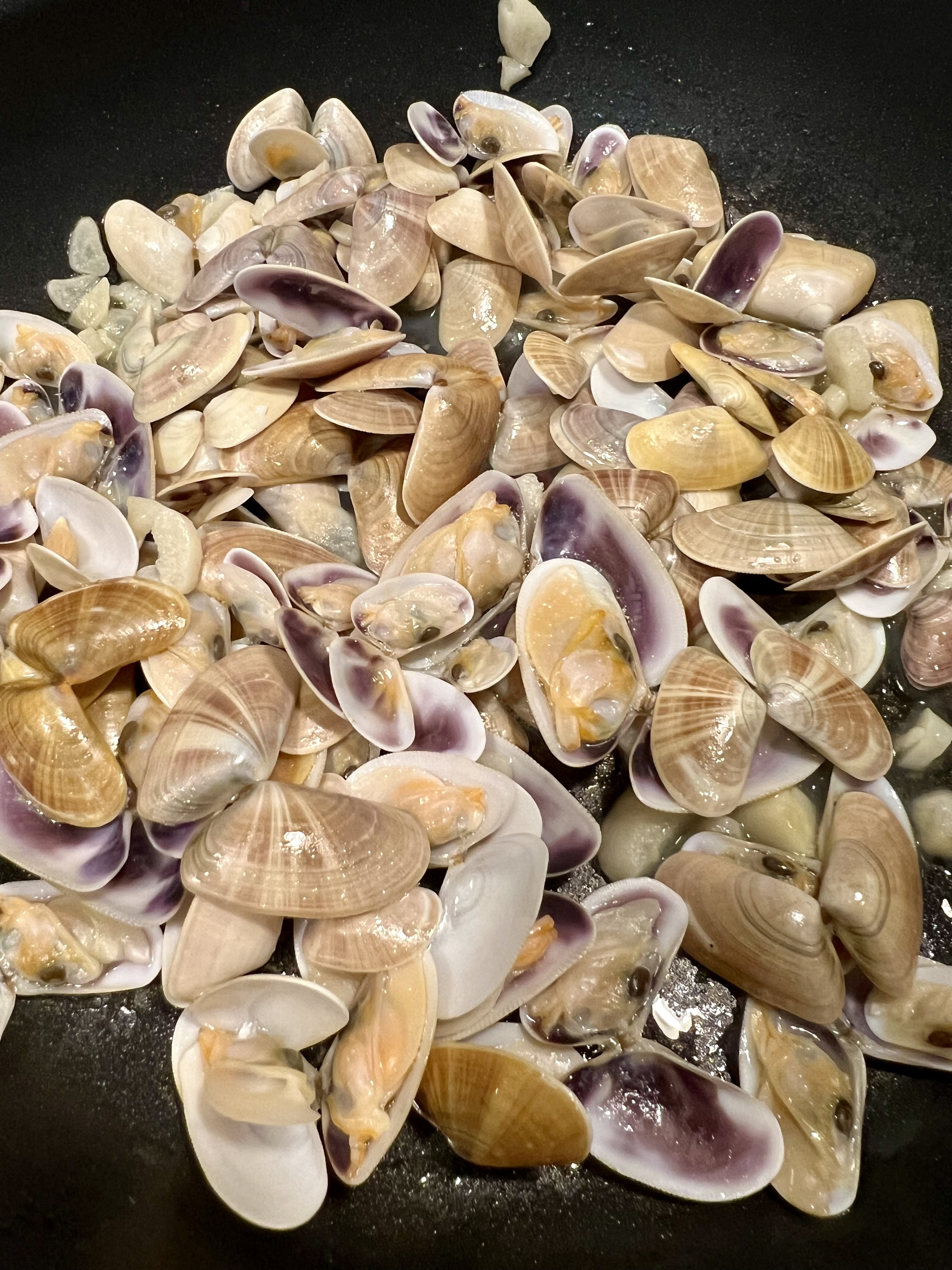 Img: animal, clam, food, invertebrate, sea life, seafood, seashell, egg