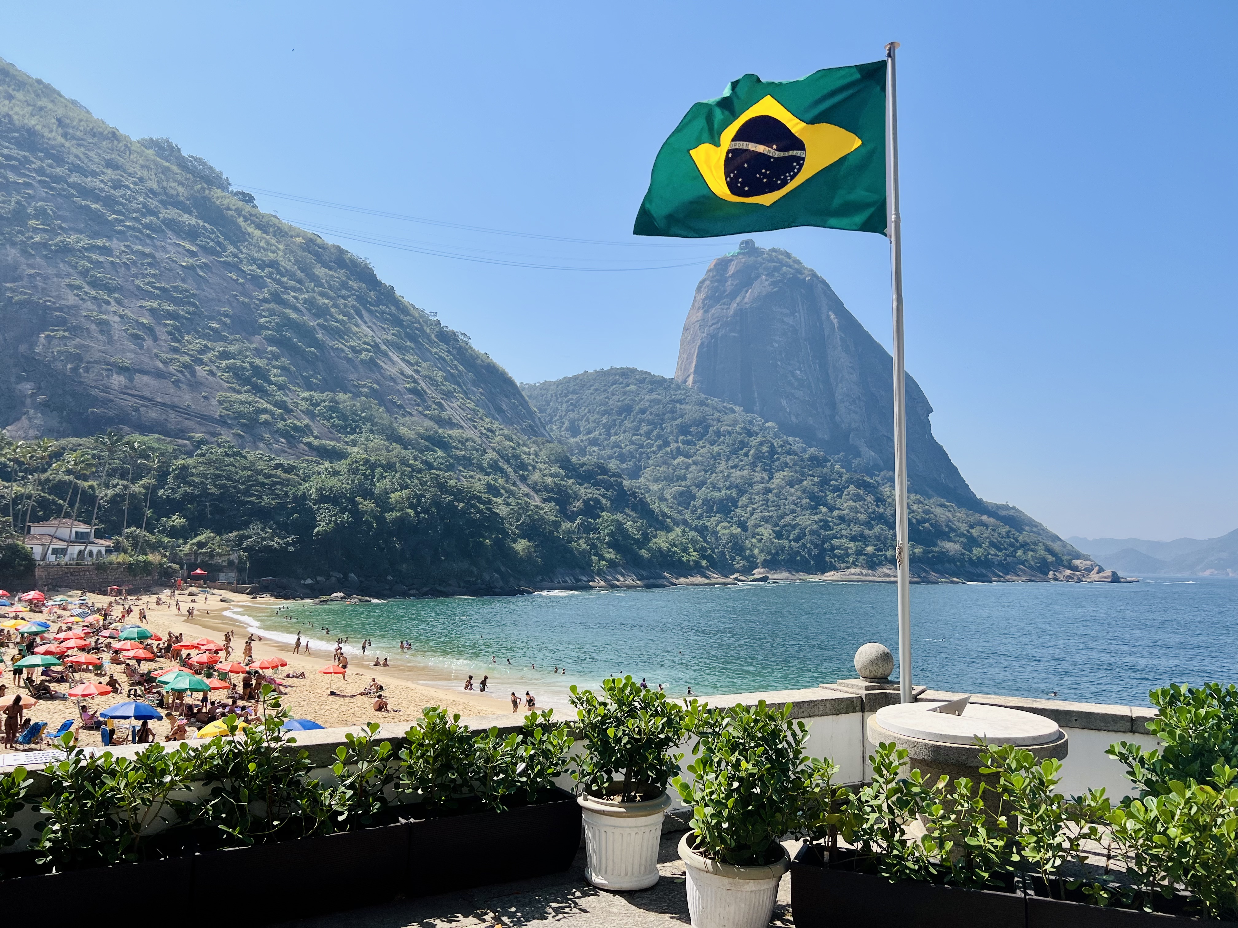 Img: flag, plant, person