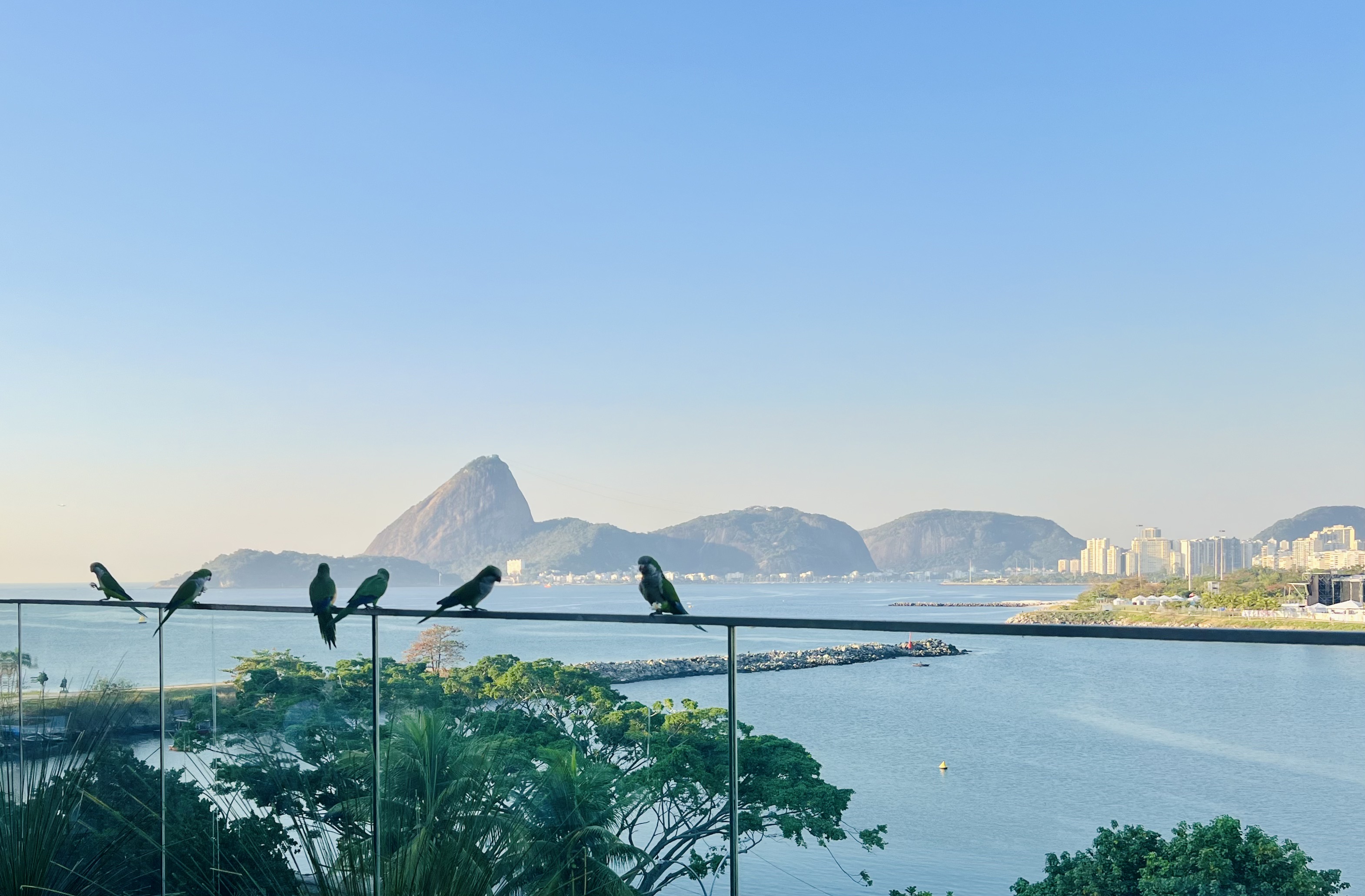 Img: nature, outdoors, scenery, cityscape, urban, summer, waterfront, landscape, land, bird