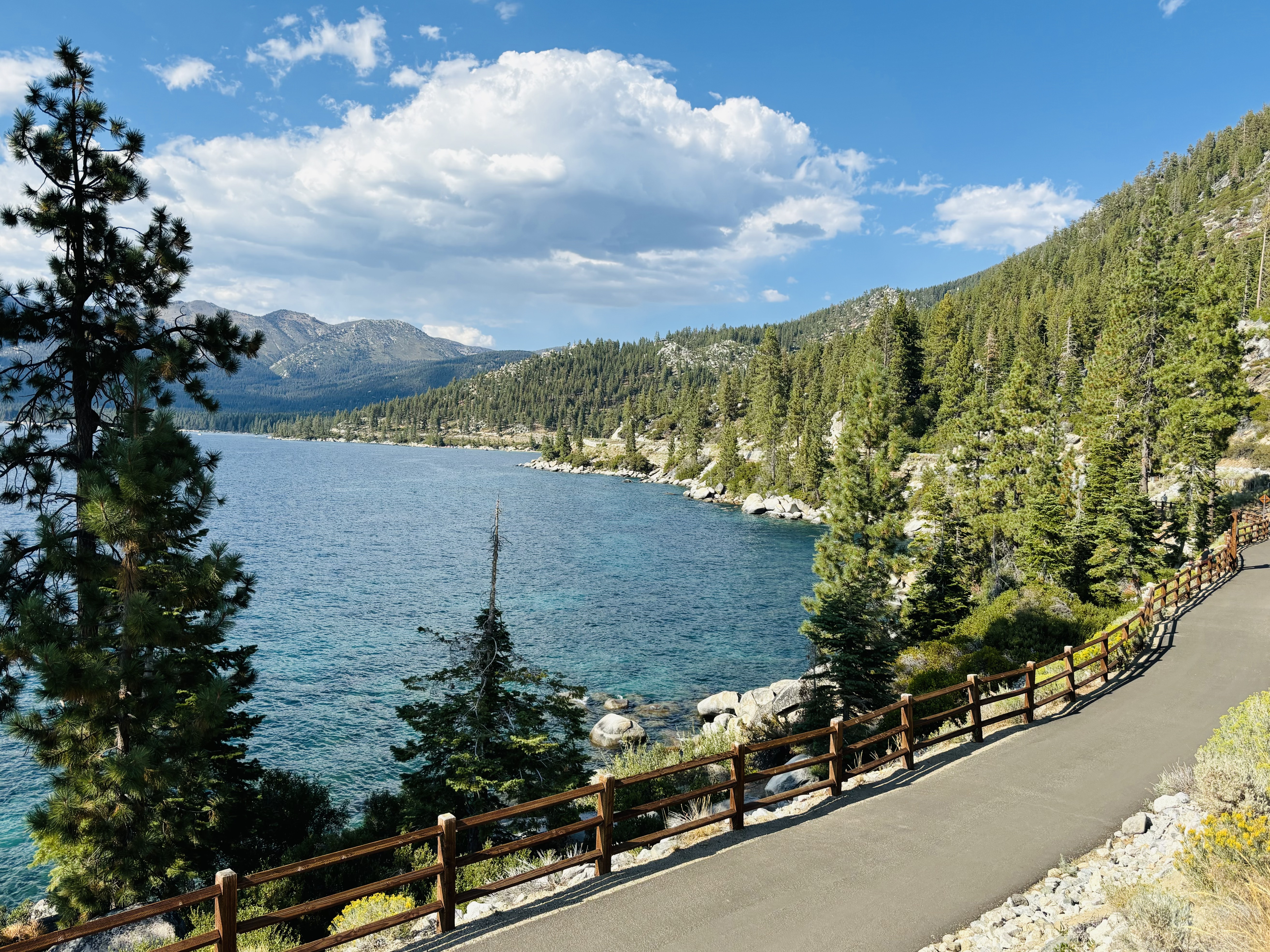 Img: nature, outdoors, scenery, fir, plant, tree, lake, water, lakefront