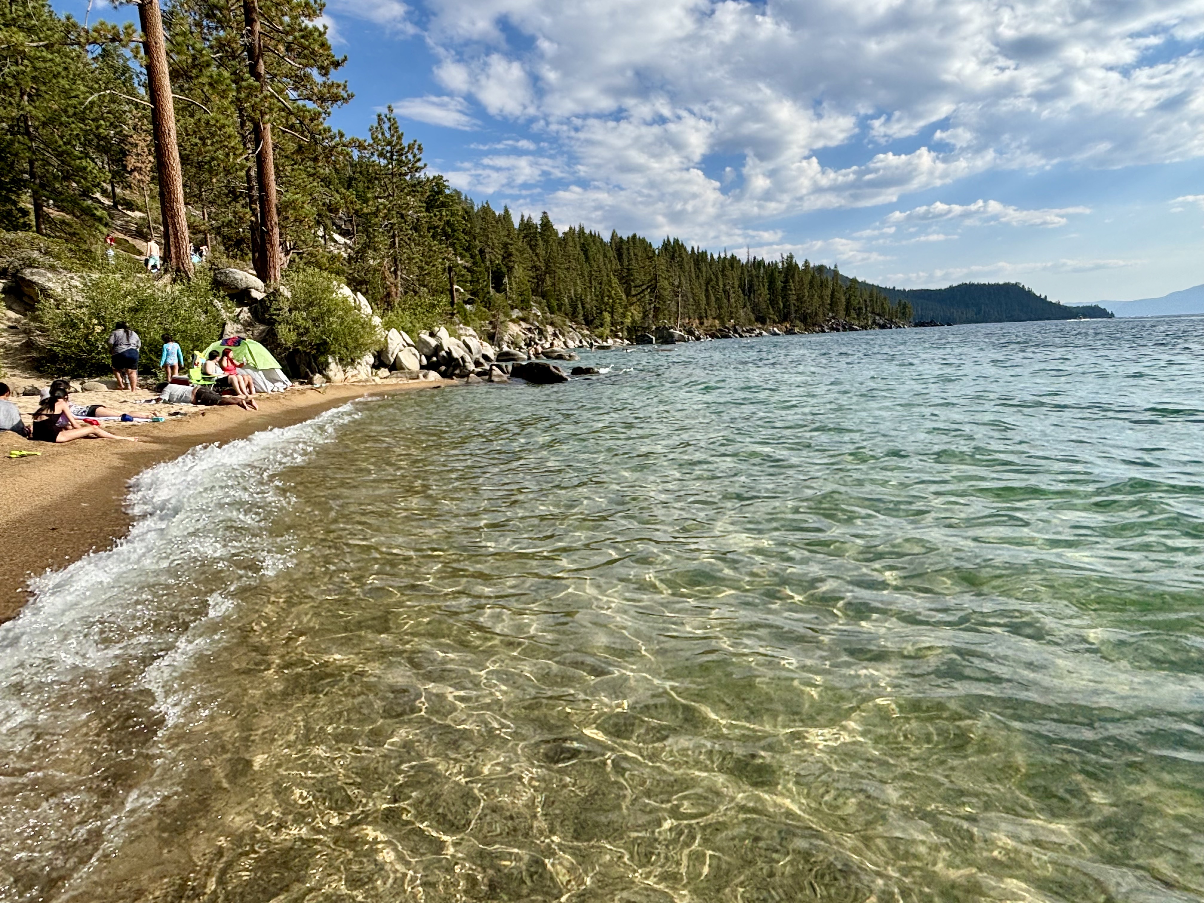Img: summer, nature, outdoors, scenery, sea, tree, land, beach, vegetation, landscape