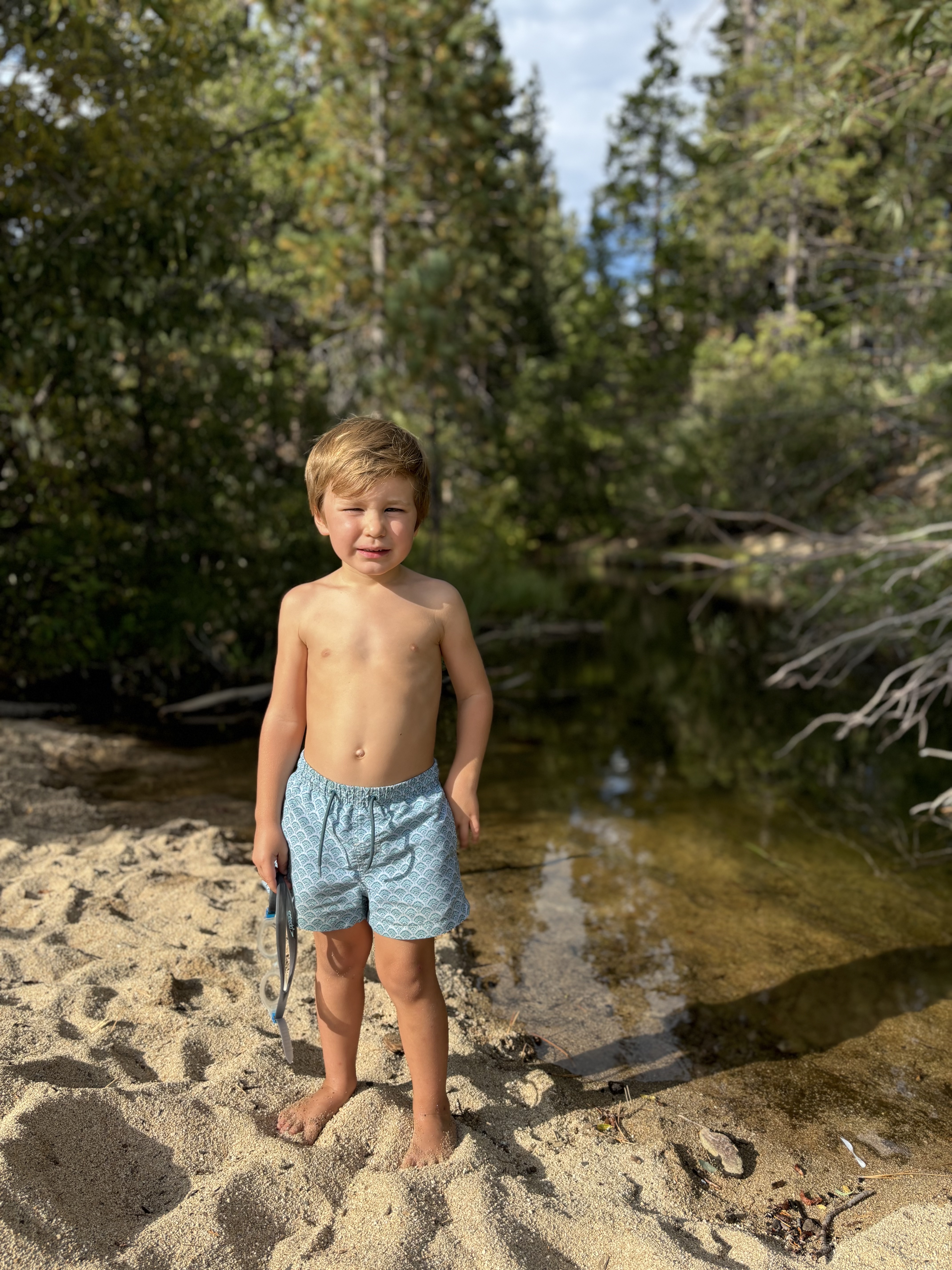 Img: clothing, shorts, boy, child, male, person, photography, portrait, plant, tree