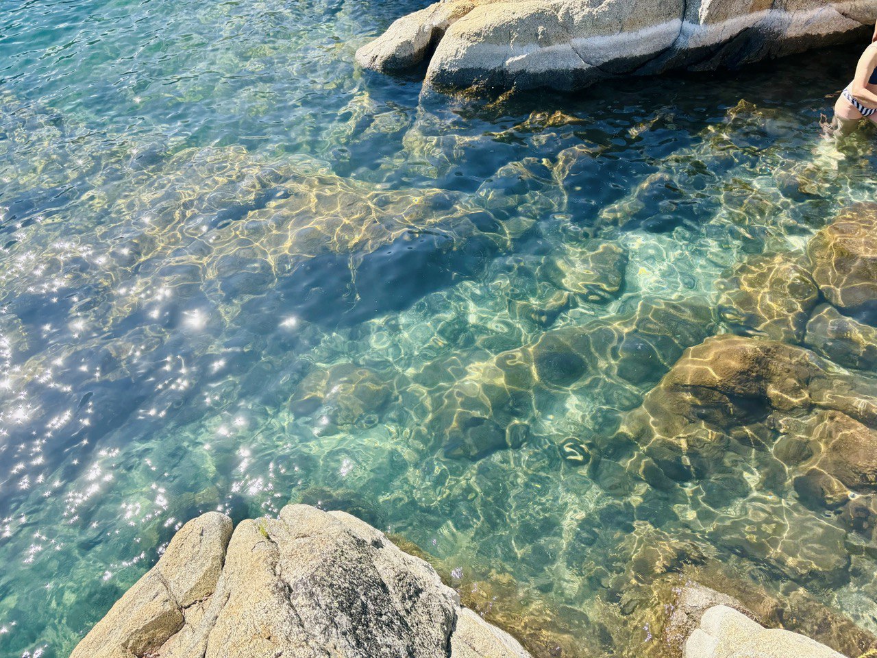 Img: rock, nature, outdoors, sea, water, lake, scenery, turtle, reef, beach