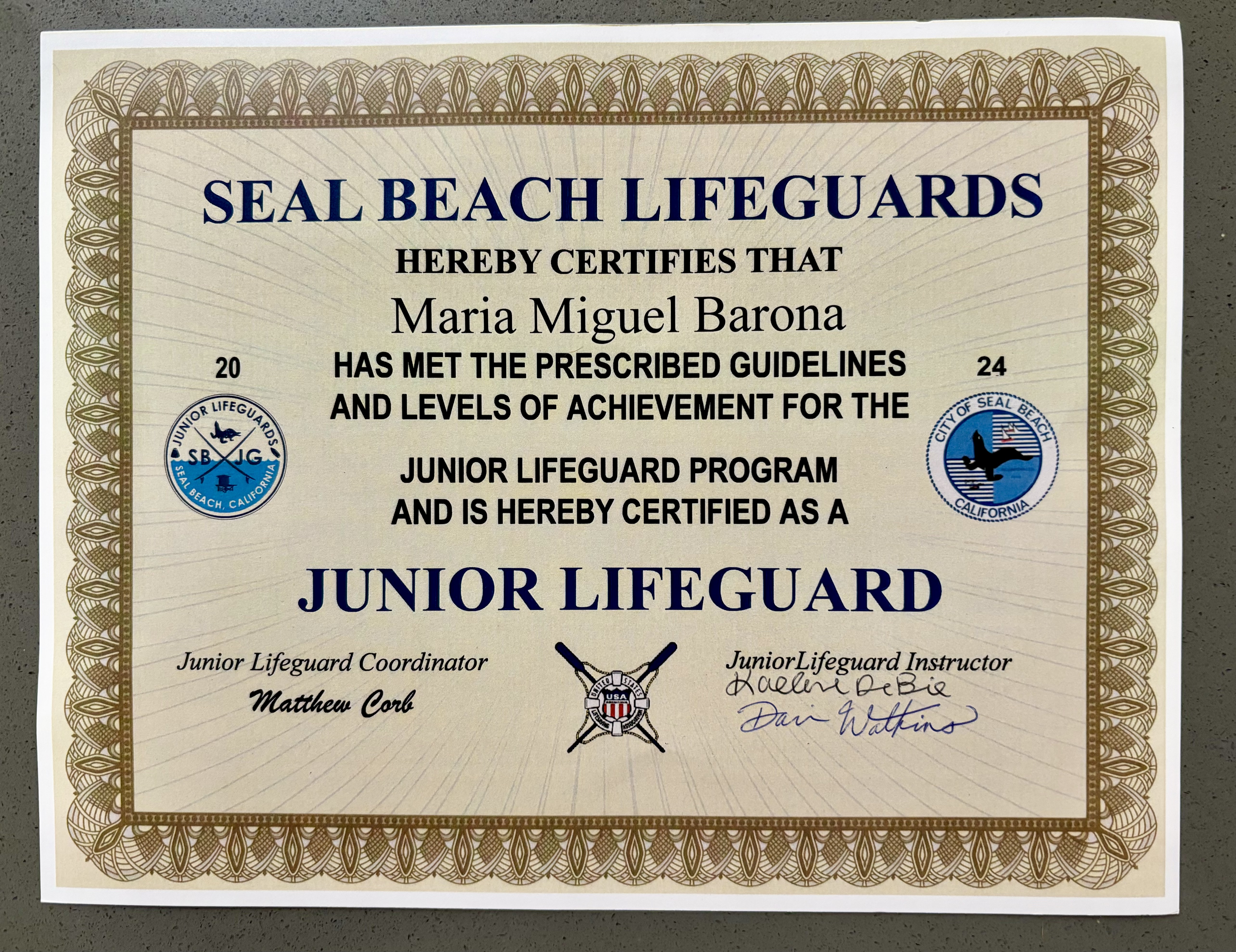 Img: text, diploma, document