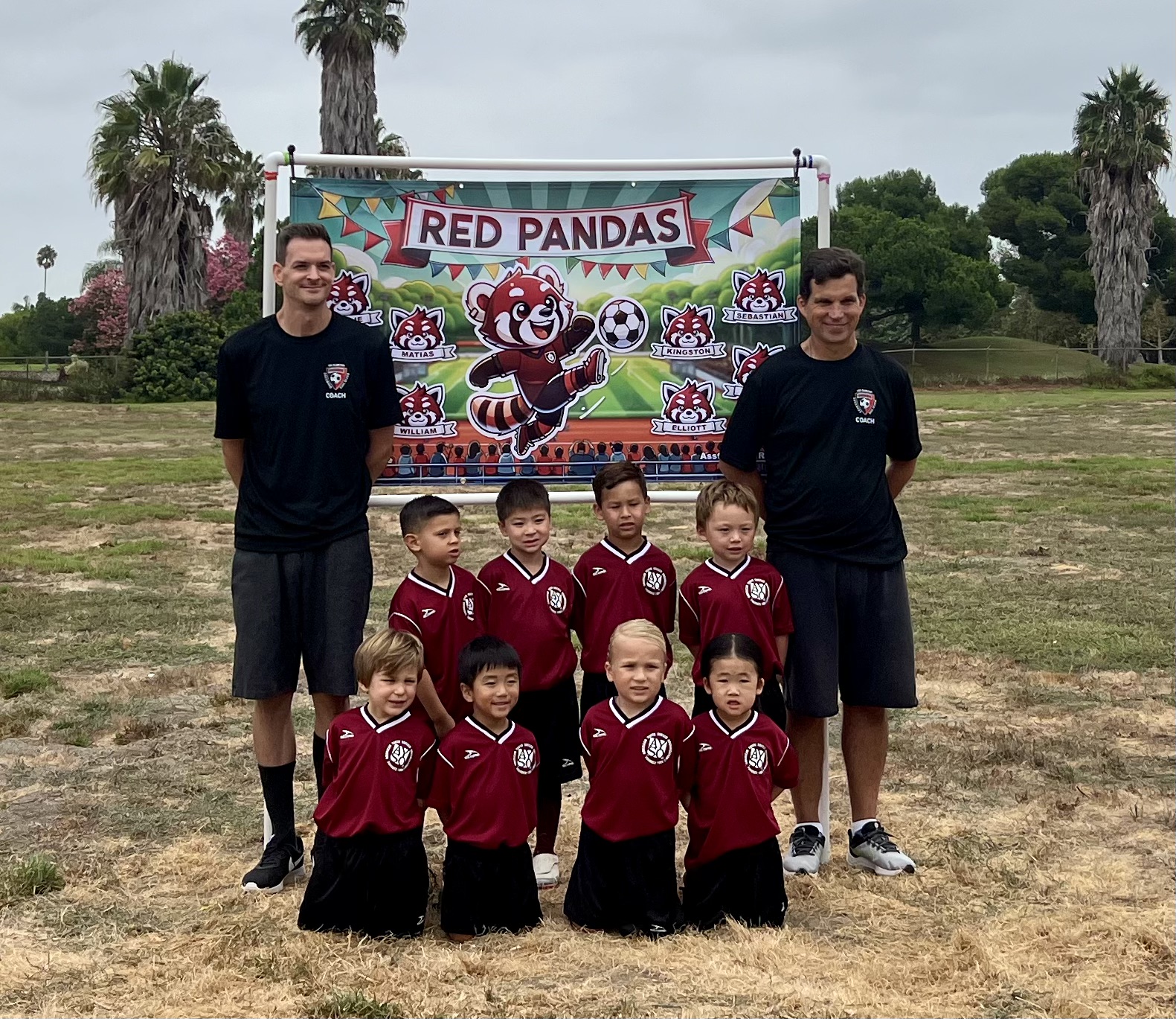 Img: people, person, t-shirt, tree, portrait, grass, park, adult, male, man