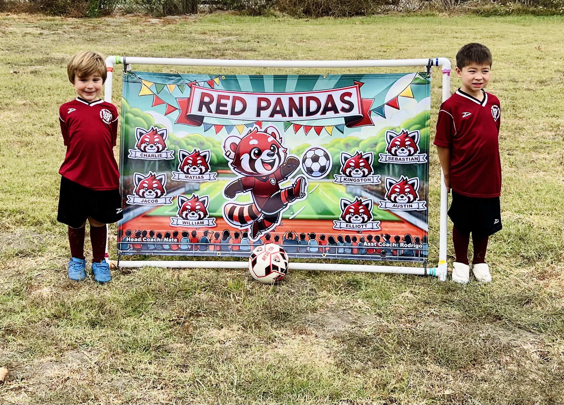 Img: soccer ball, t-shirt, grass, shorts, advertisement, boy, child, male, person, park
