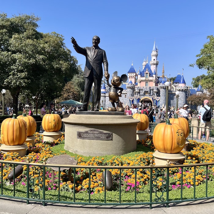 Img: grass, adult, male, man, person, glove, theme park, backpack, park, urban