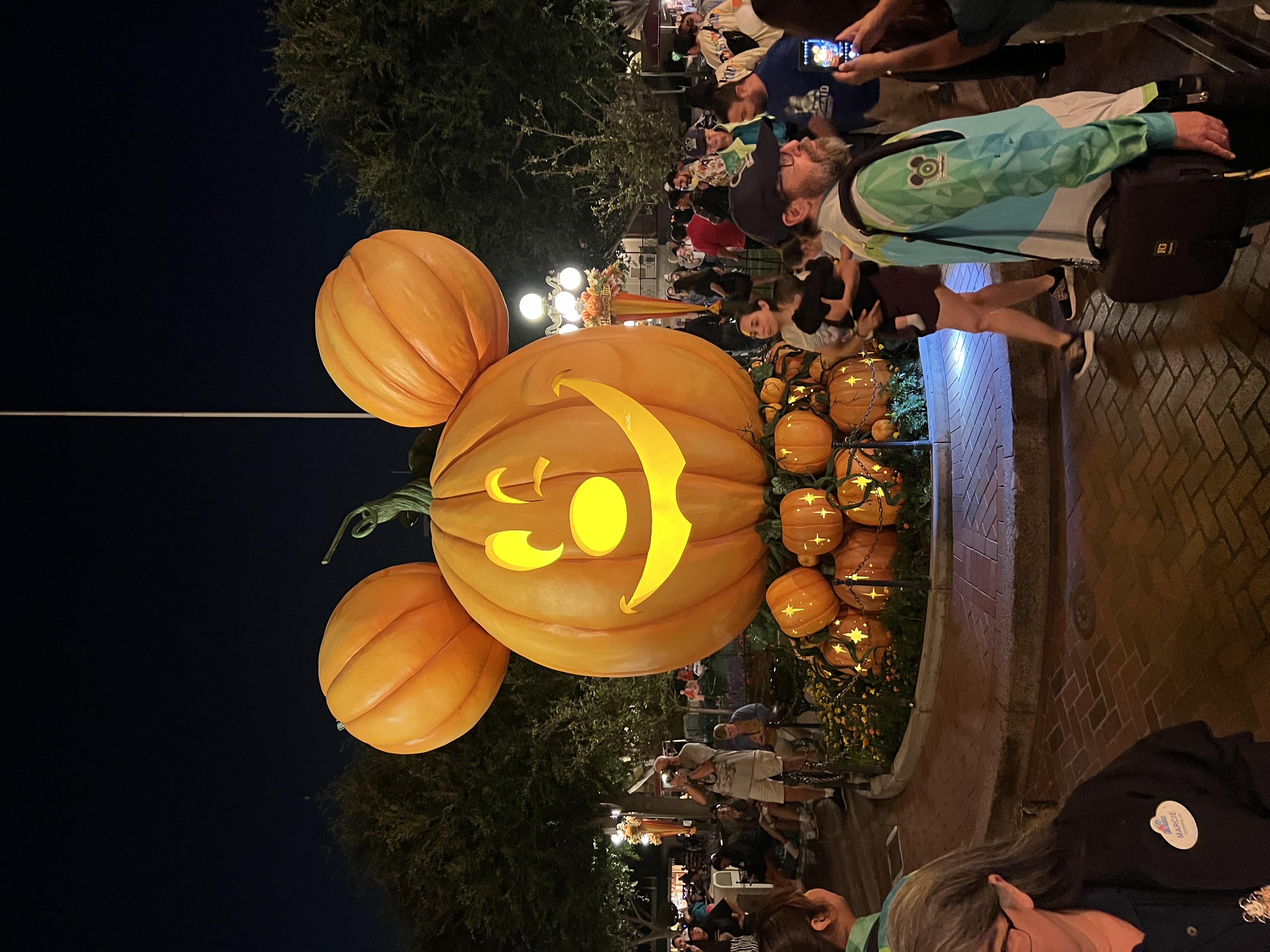 Img: adult, female, person, woman, shoe, handbag, glasses, male, man, festival