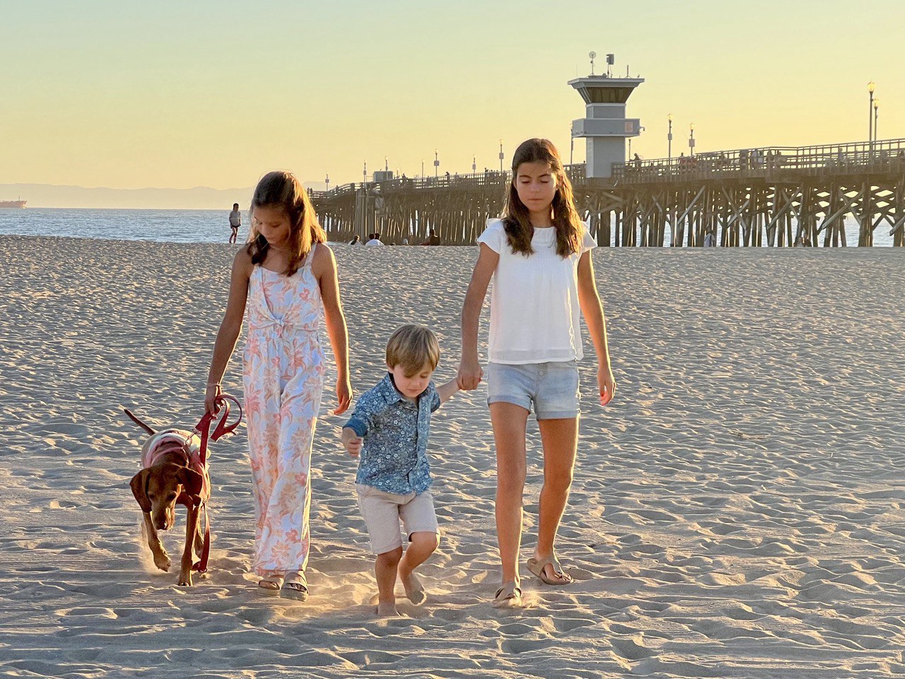 Photo 2024: waterfront, female, girl, person, teen, pier, shorts, boy, child, male