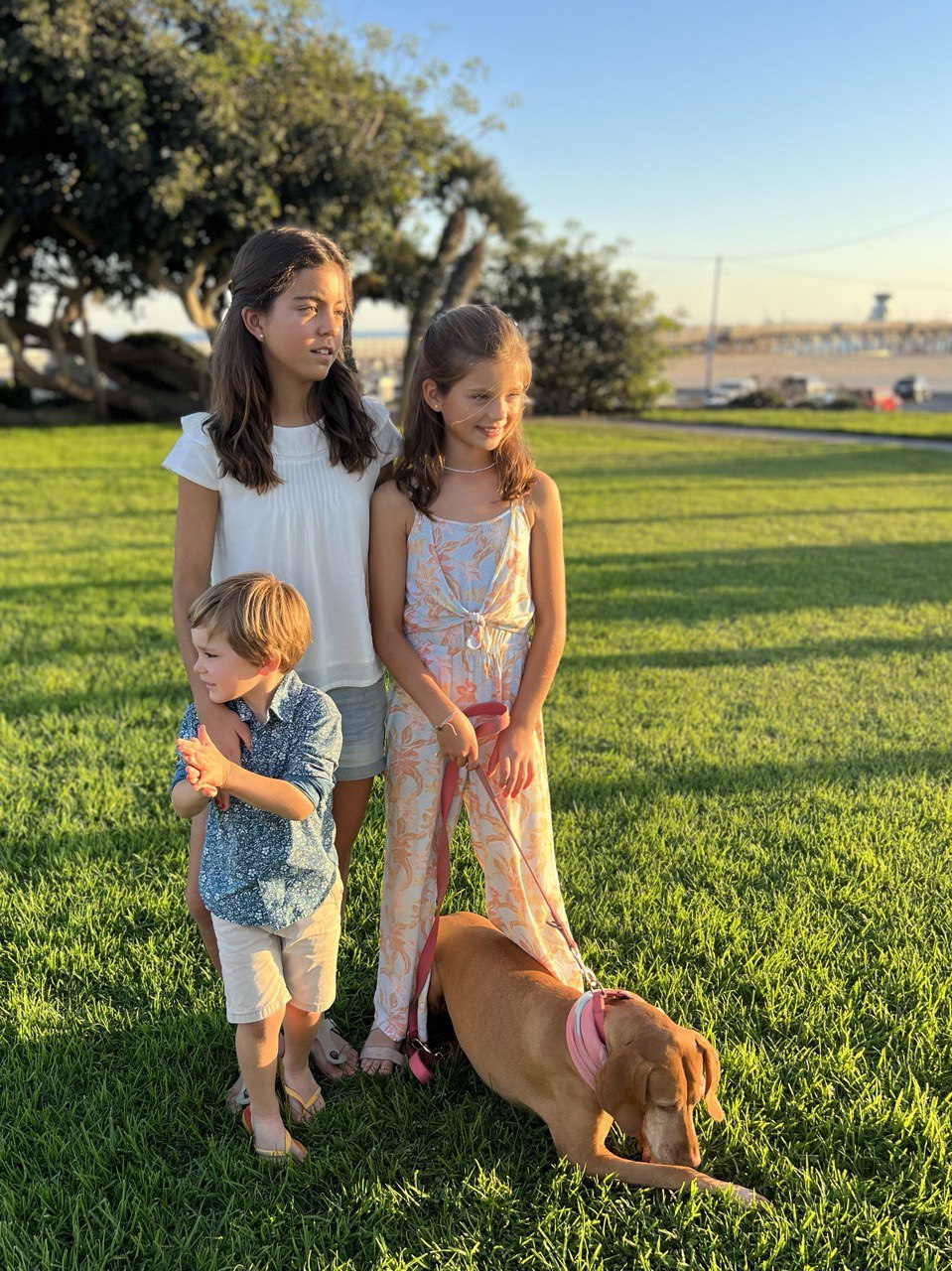 Photo 2024: people, person, grass, park, portrait, boy, child, male, shorts, dog