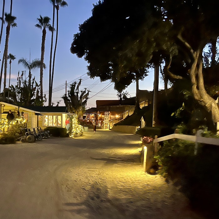 Img: summer, tree, city, road, street, urban, palm tree, path, nature, outdoors