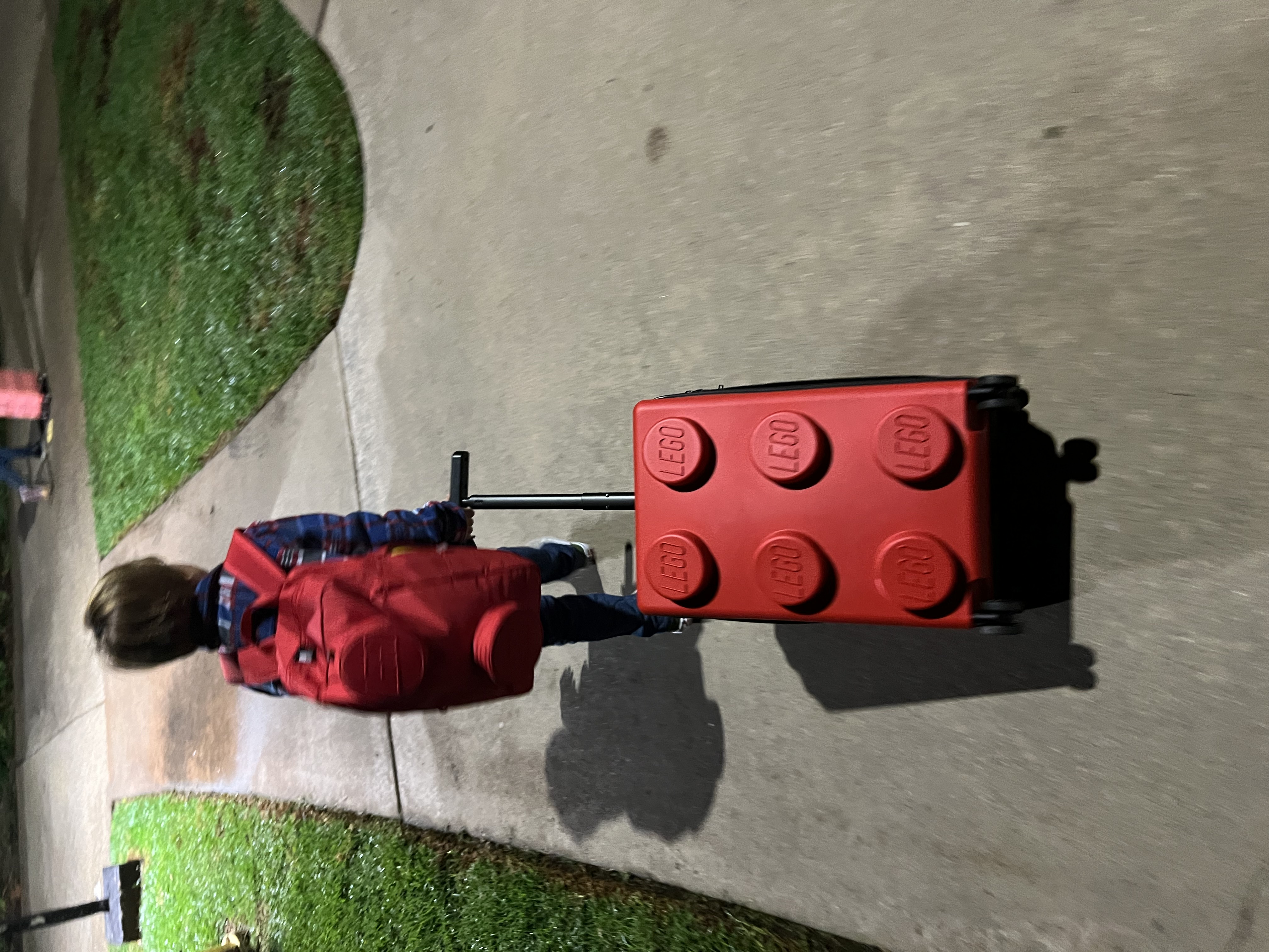 Img: person, walking, grass, path, sidewalk, boy, child, male, shoe, baggage
