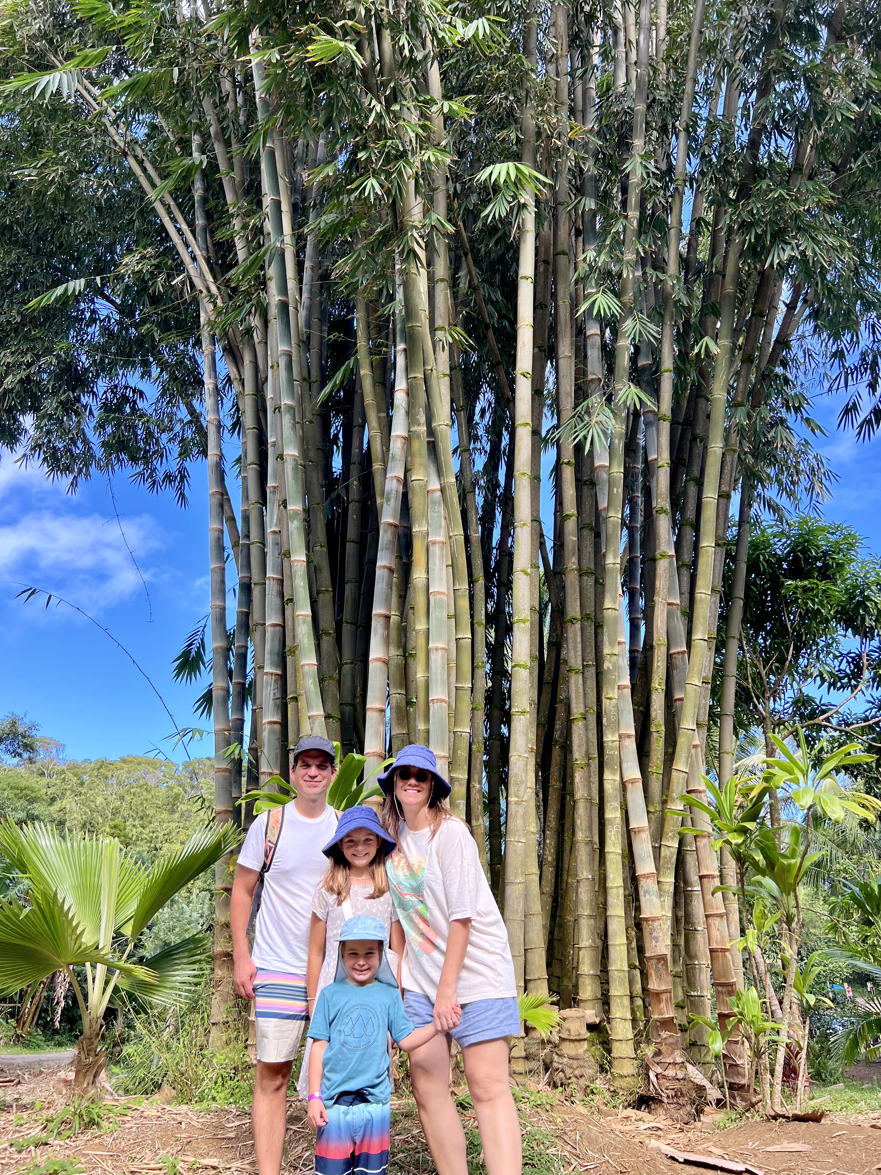 Img: summer, vegetation, female, girl, person, teen, tree, rainforest, hat, child