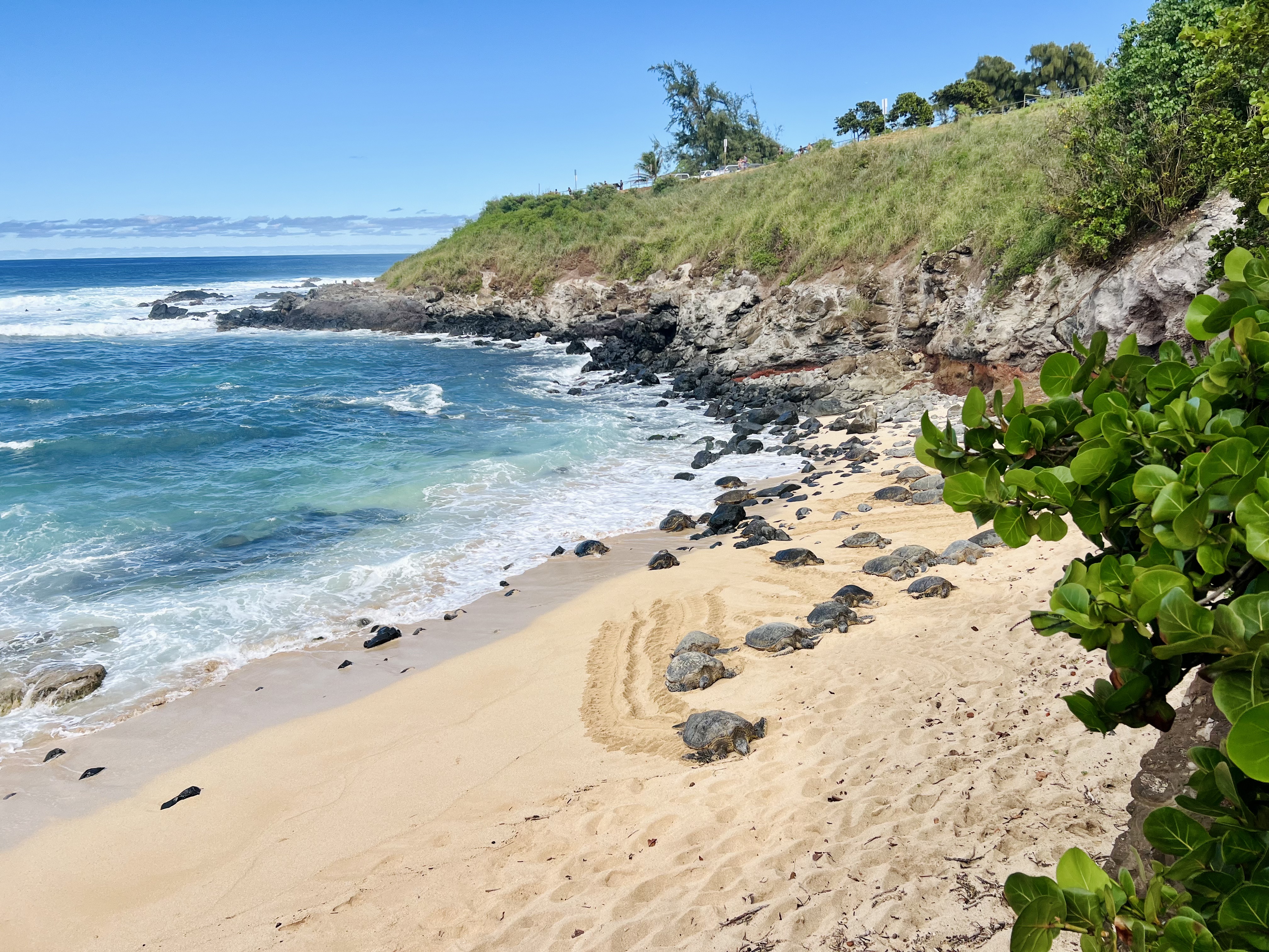 Img: summer, nature, outdoors, promontory, water, sea, beach, shoreline, scenery, person