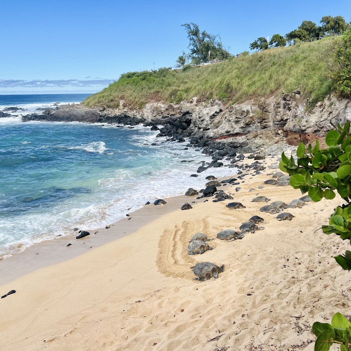 Img: summer, nature, outdoors, promontory, water, sea, beach, shoreline, scenery, person