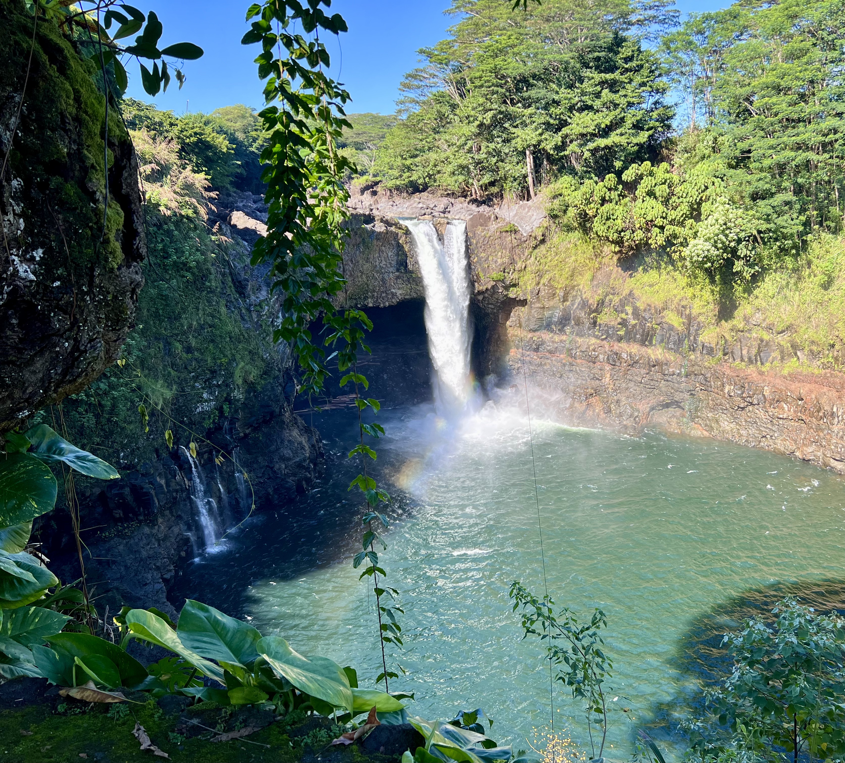 Img: nature, outdoors, water, plant, vegetation, land, rainforest, scenery, waterfall, jungle