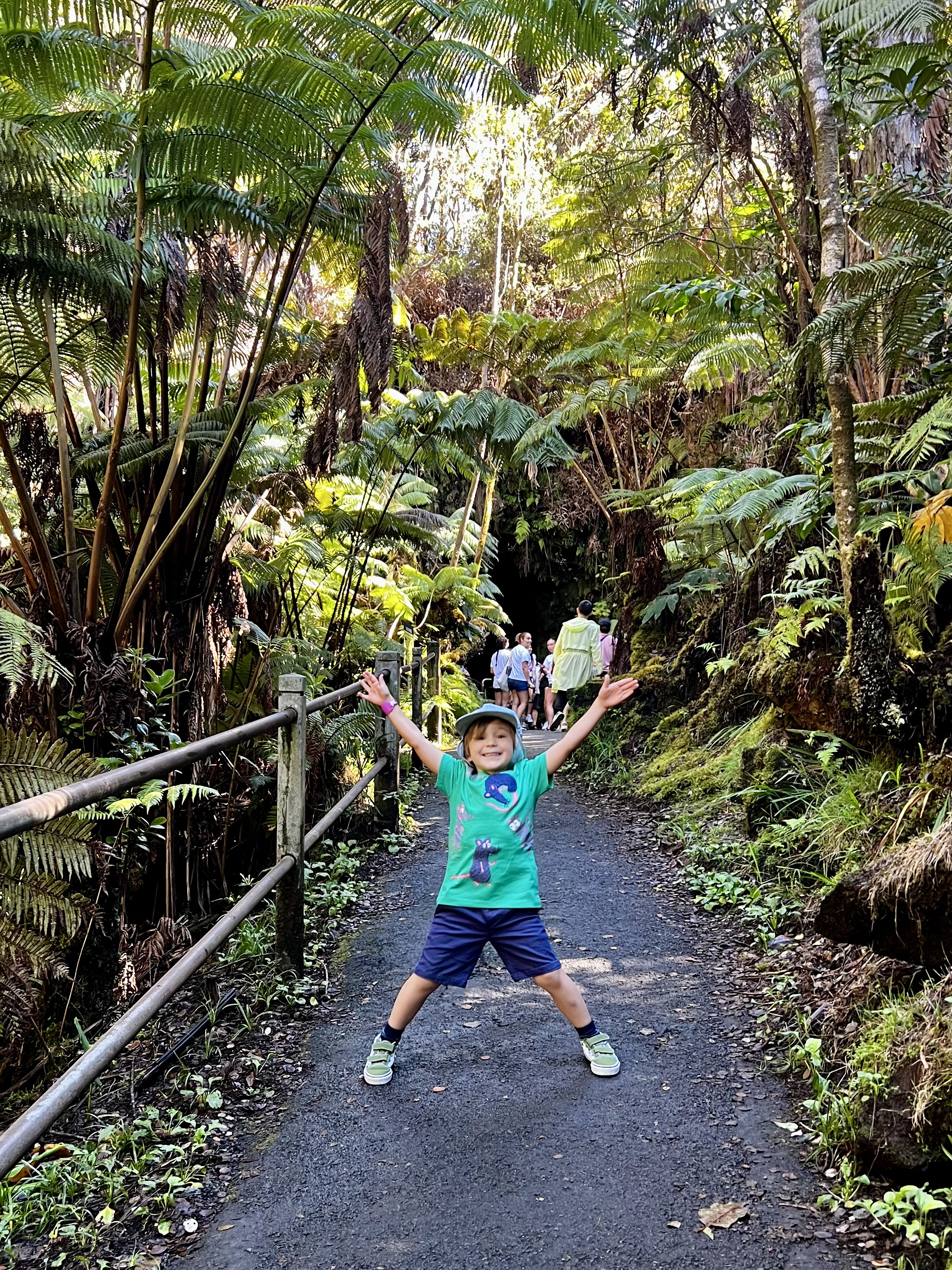 Img: land, rainforest, tree, vegetation, jungle, path, face, head, portrait, shorts