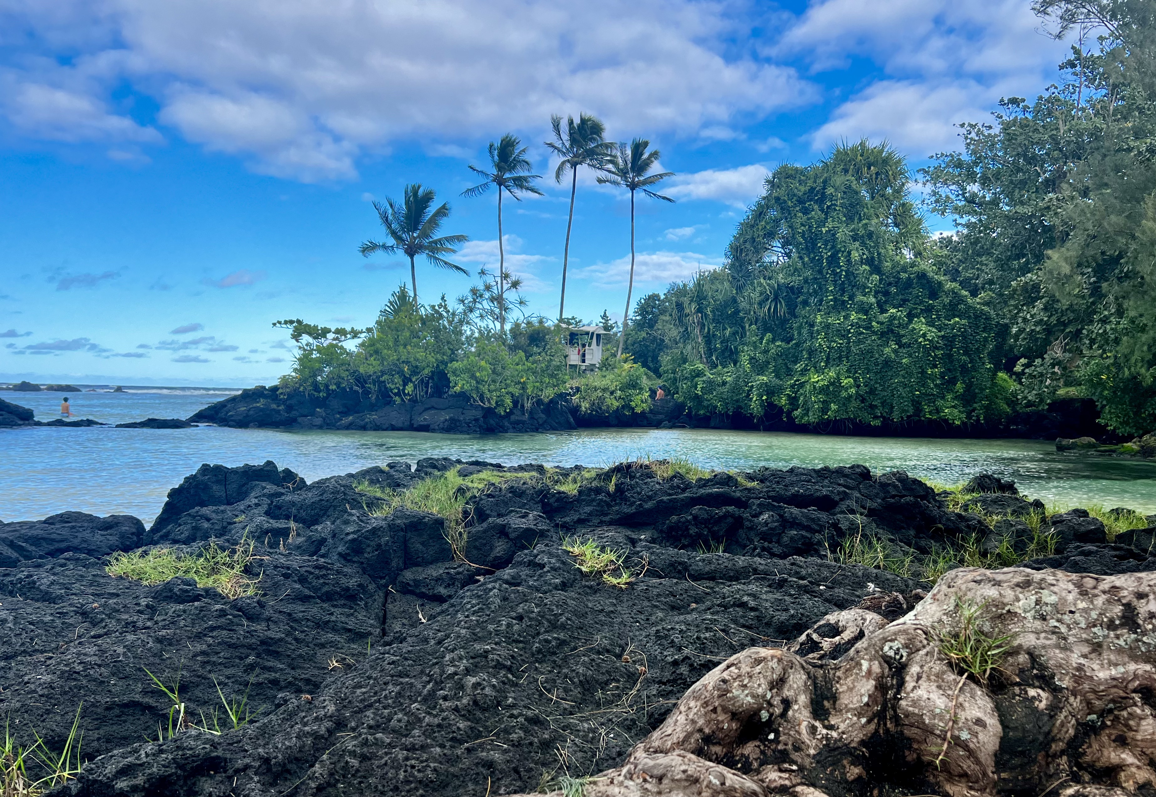 Img: summer, land, nature, outdoors, scenery, vegetation, landscape, rainforest, tree, rock