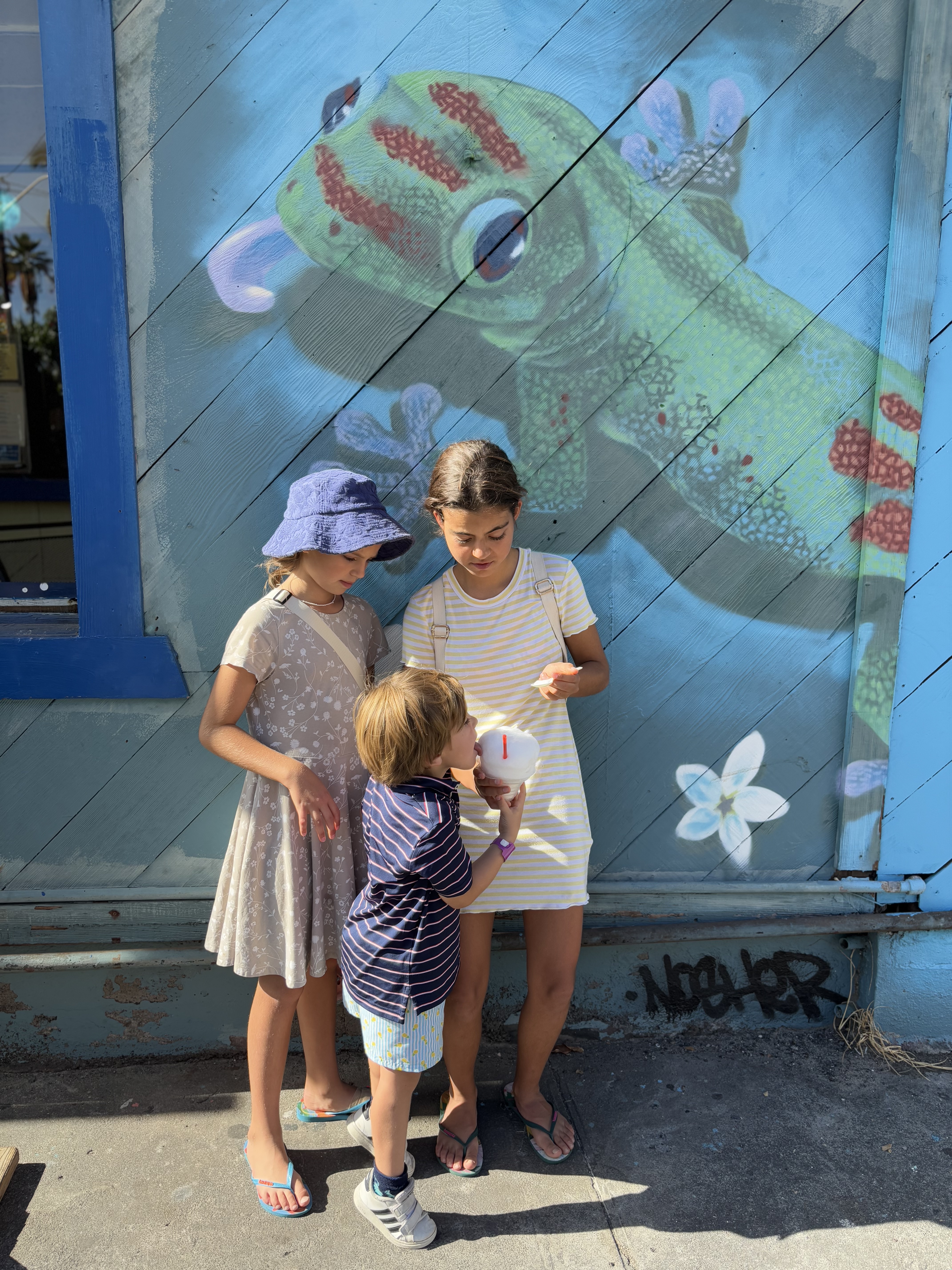 Img: person, photography, portrait, shorts, hat, pants, sandal, painting, skirt, dress